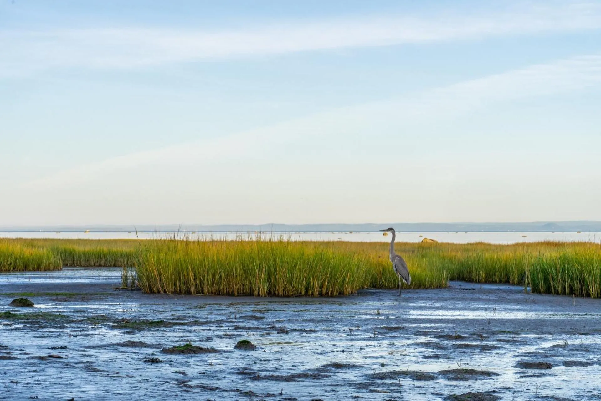 Off site in Auberge de la rive de Charlevoix - Auberge de jeunesse familiale pour voyageurs de tous âges
