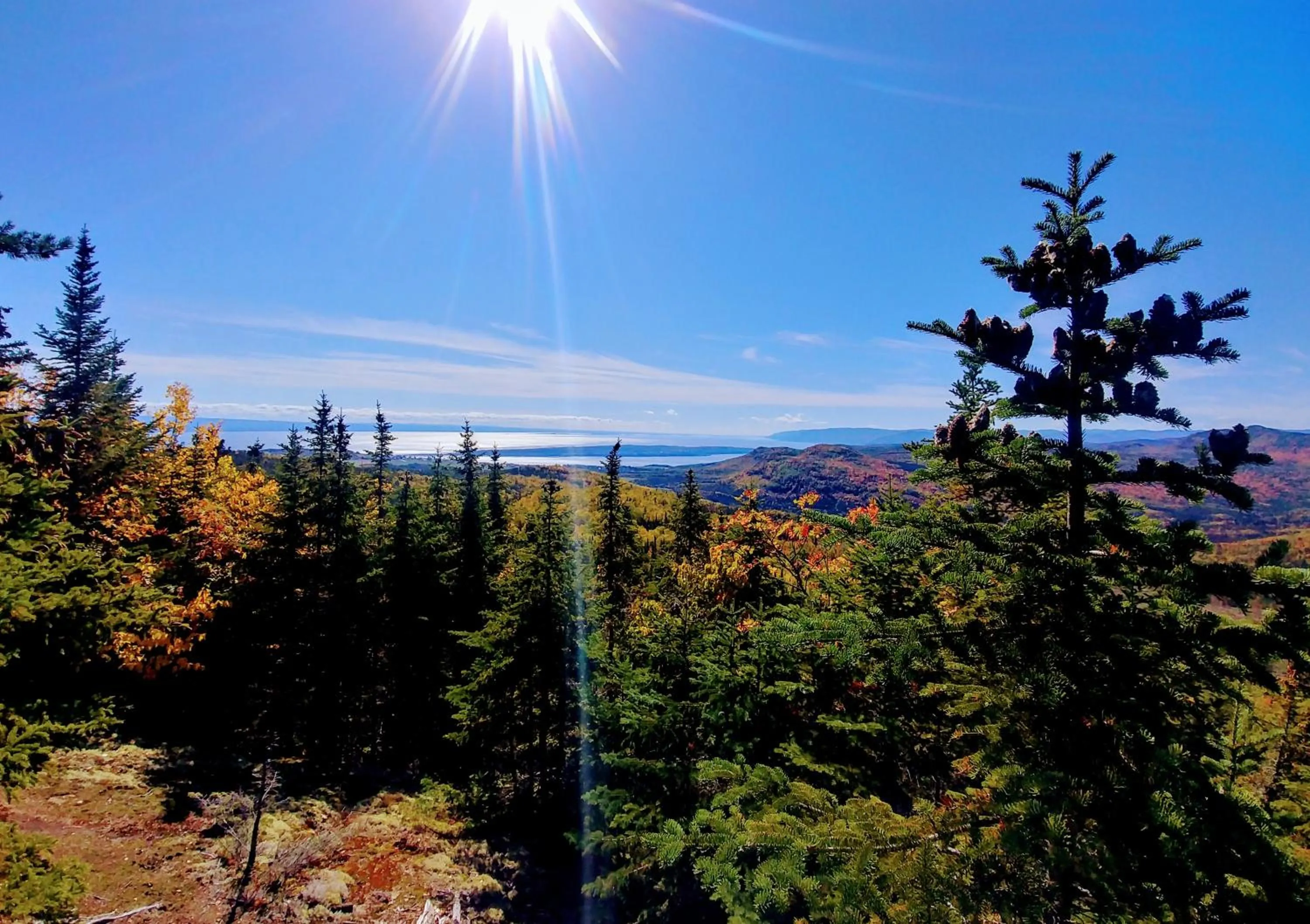 Off site in Auberge de la rive de Charlevoix - Auberge de jeunesse familiale pour voyageurs de tous âges