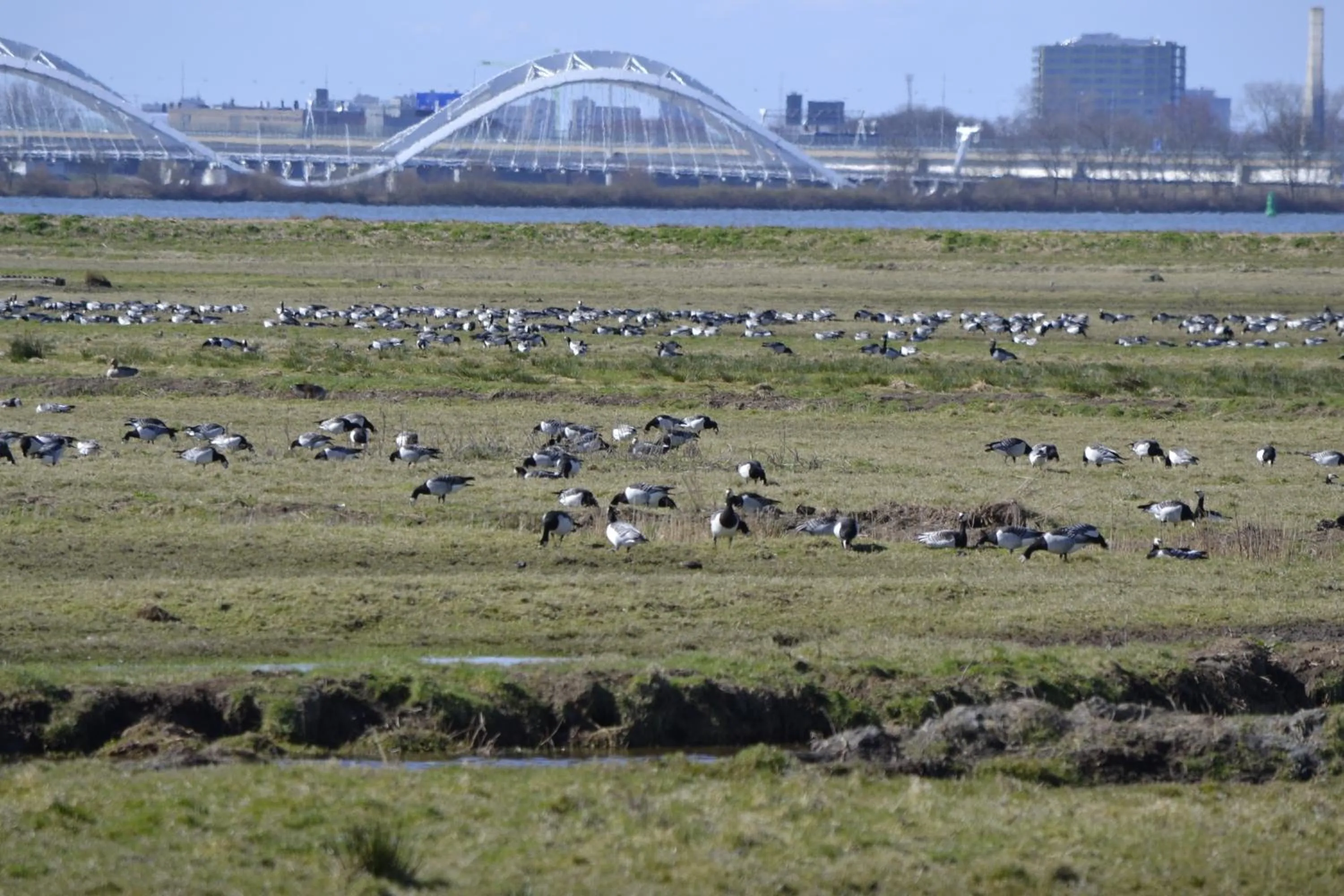 View (from property/room) in Floating B&B Amsterdam