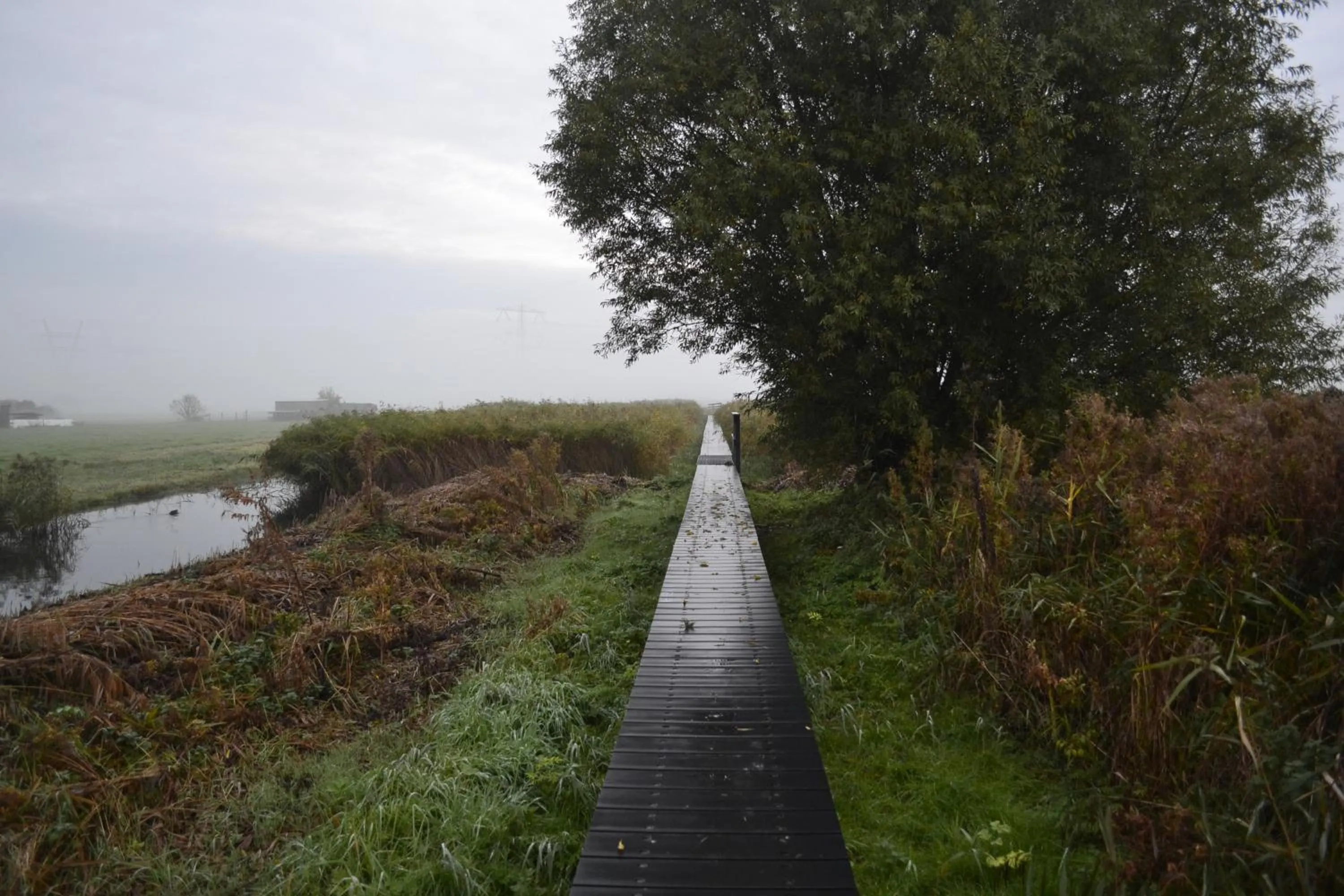 Off site in Floating B&B Amsterdam