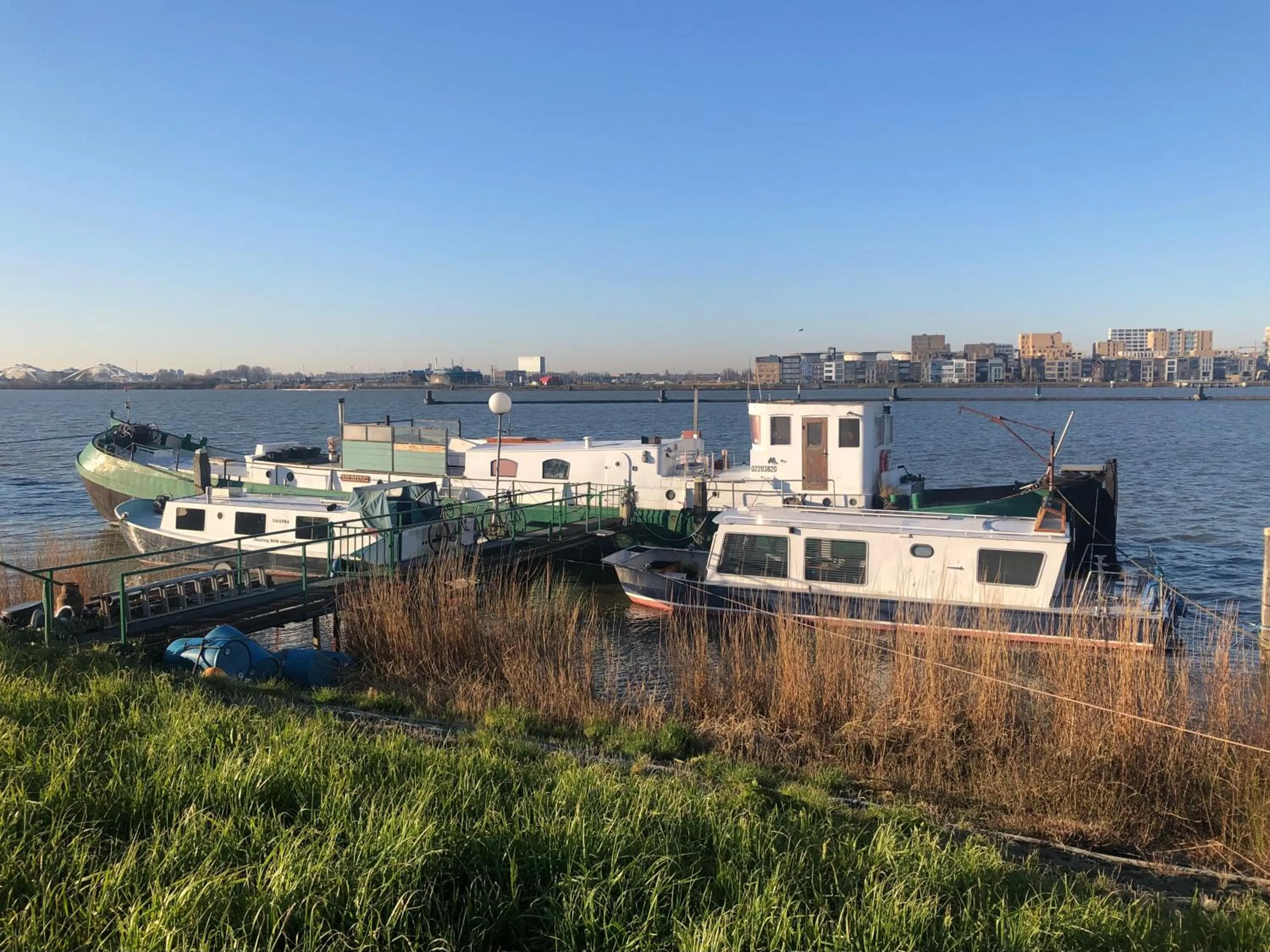 River view in Floating B&B Amsterdam