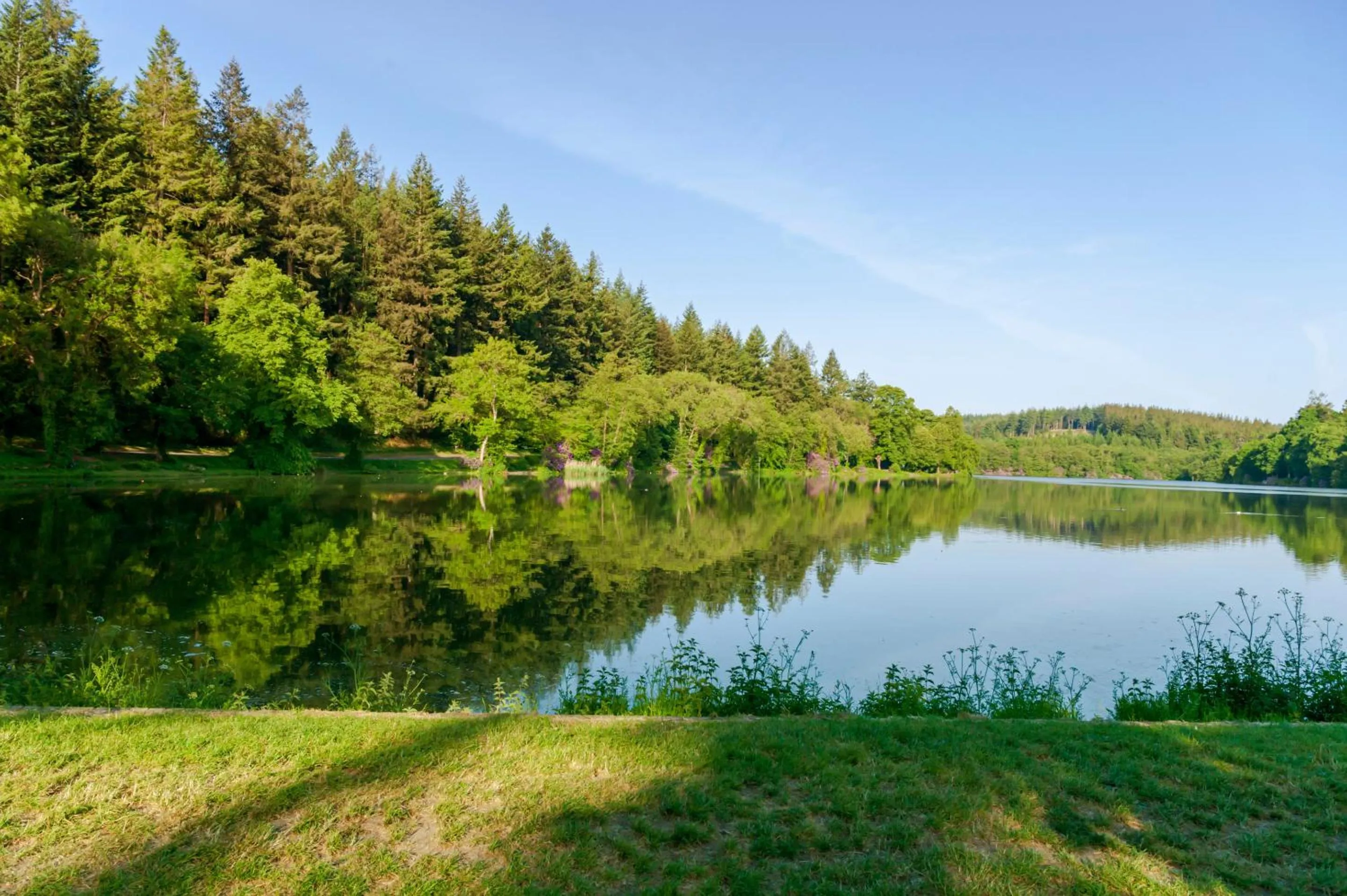 Activities in The Old Bell - Warminster