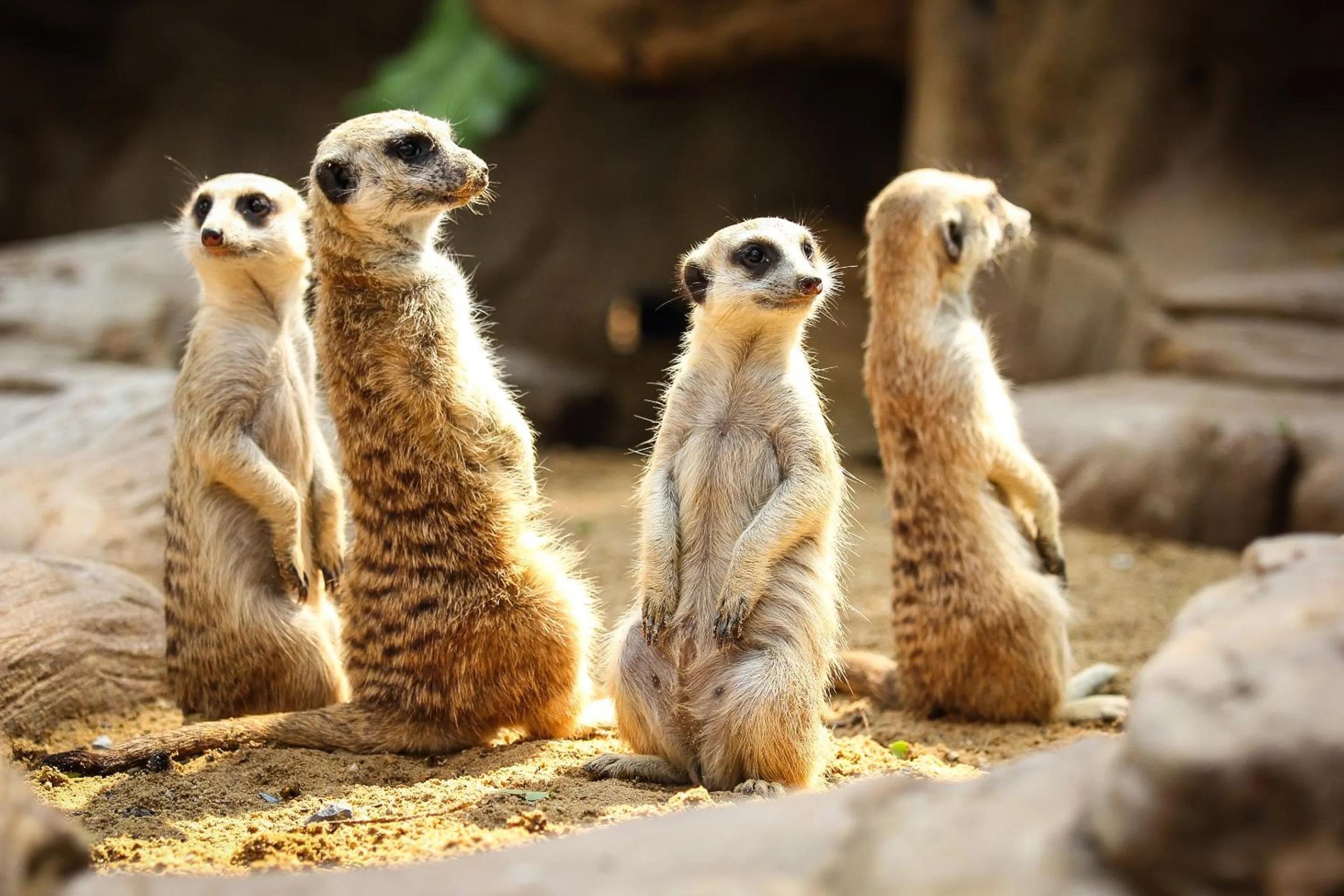 Activities in The Old Bell - Warminster