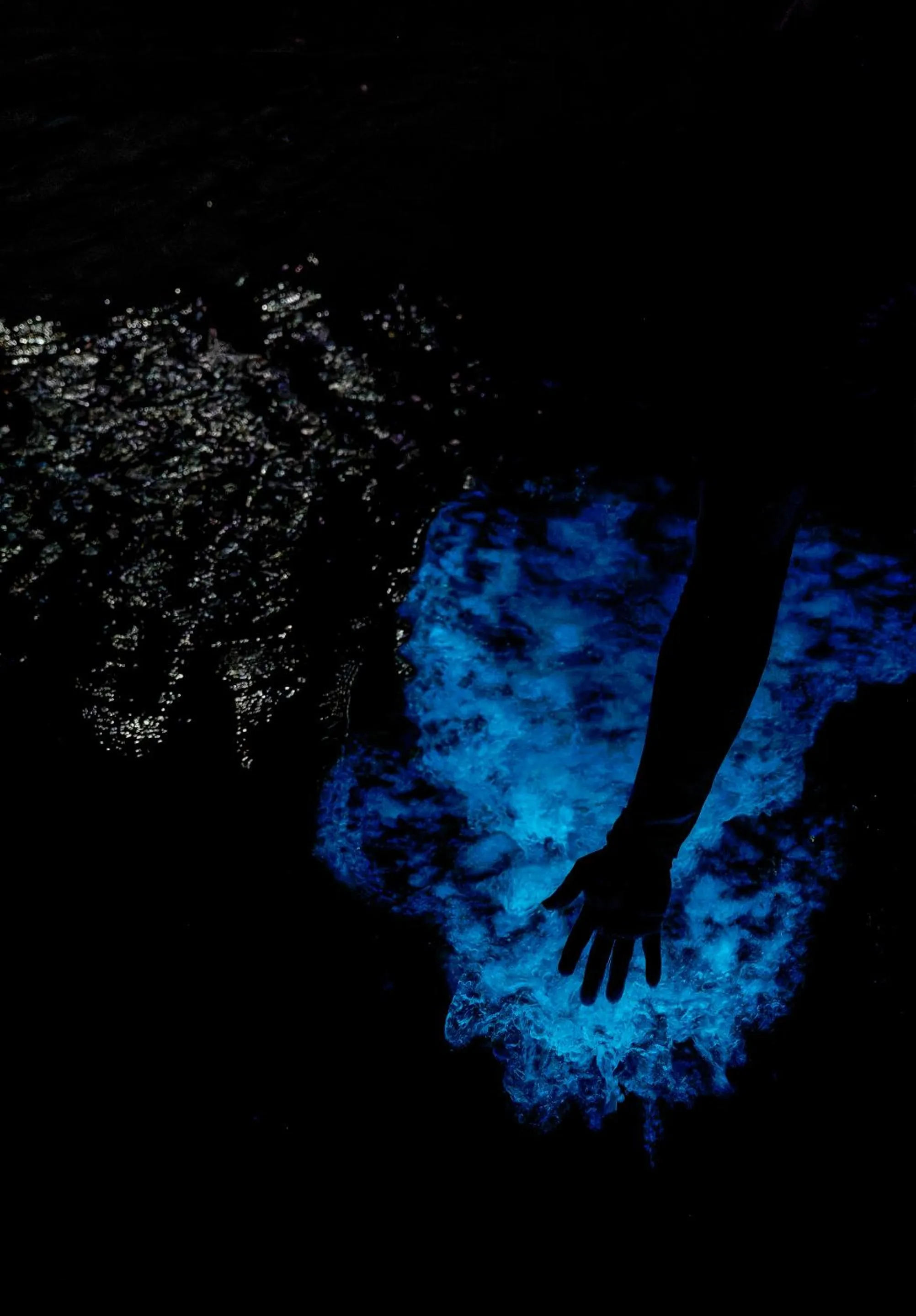 Night in Playa Cativo Lodge