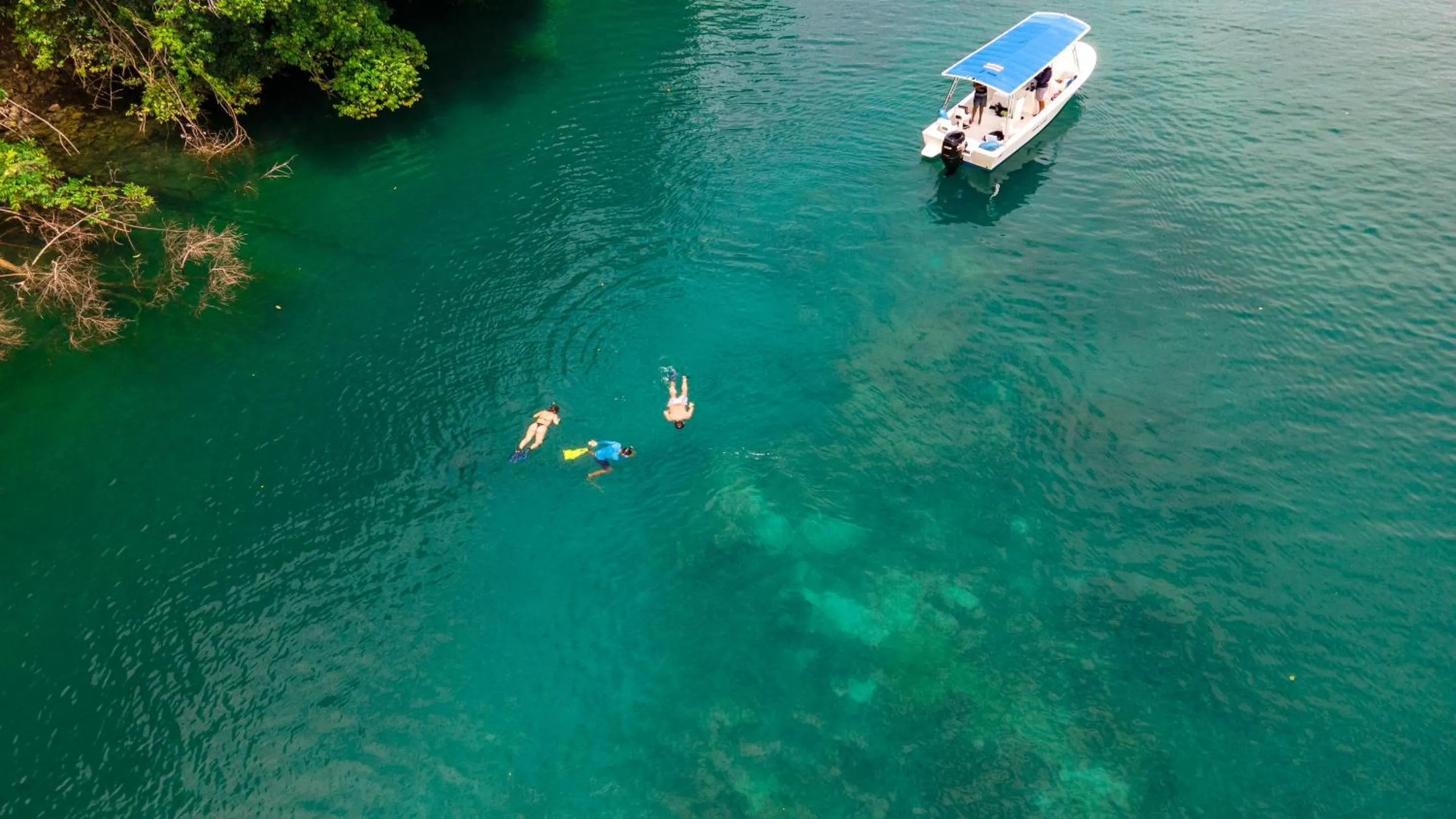 Day in Playa Cativo Lodge