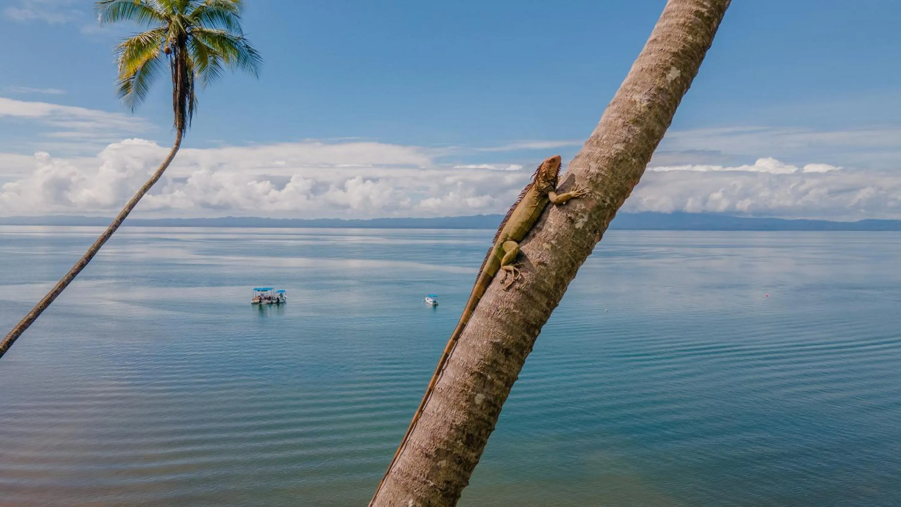 Day in Playa Cativo Lodge
