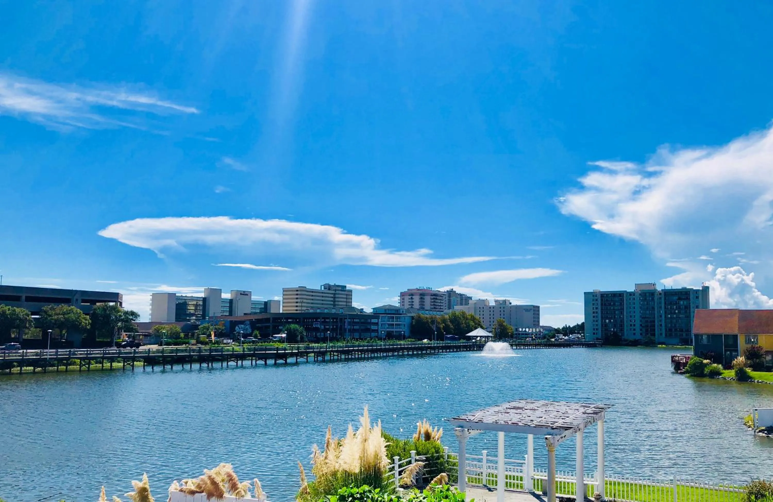 Natural landscape in White Marlin Inn - Virginia Beach