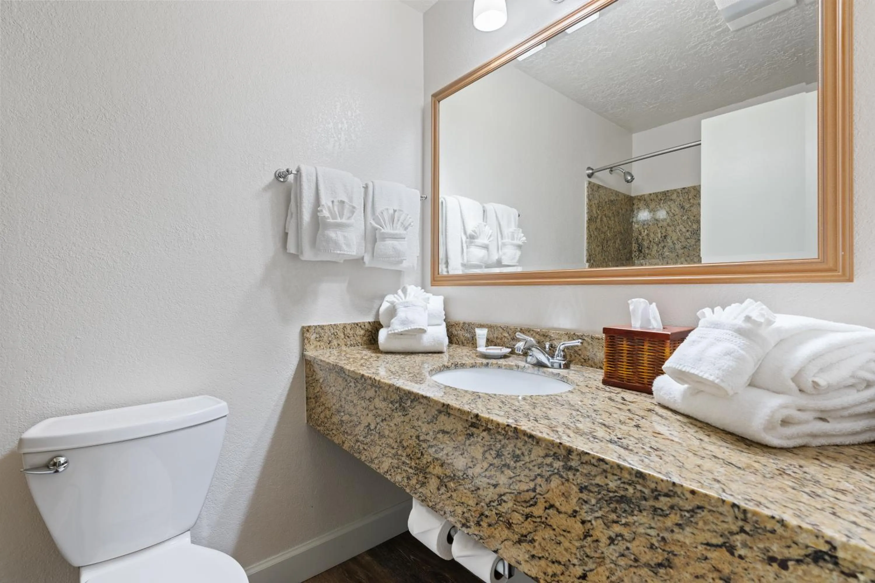 Toilet in Tolovana Inn