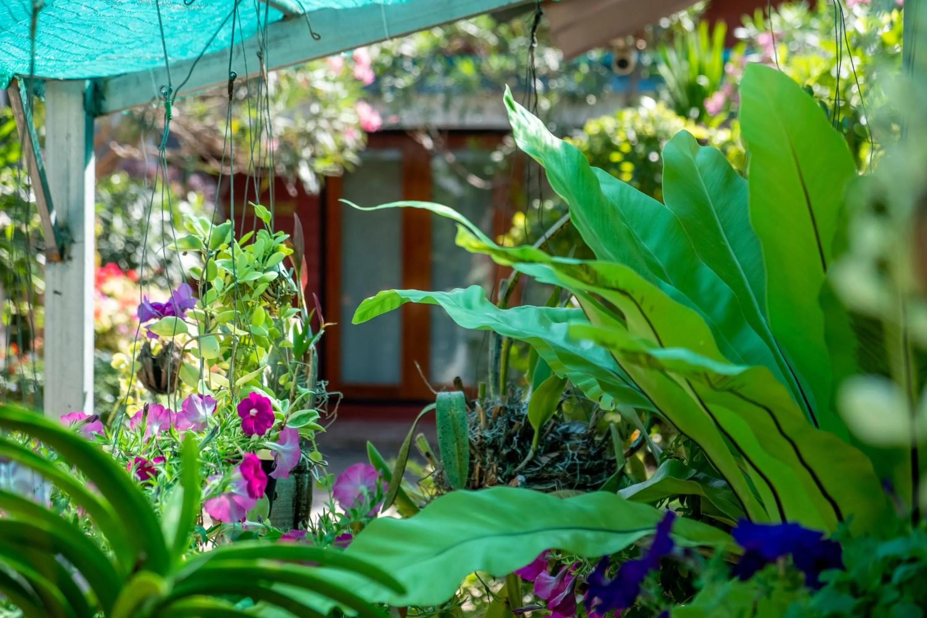 Day in Thai Smile Bungalows