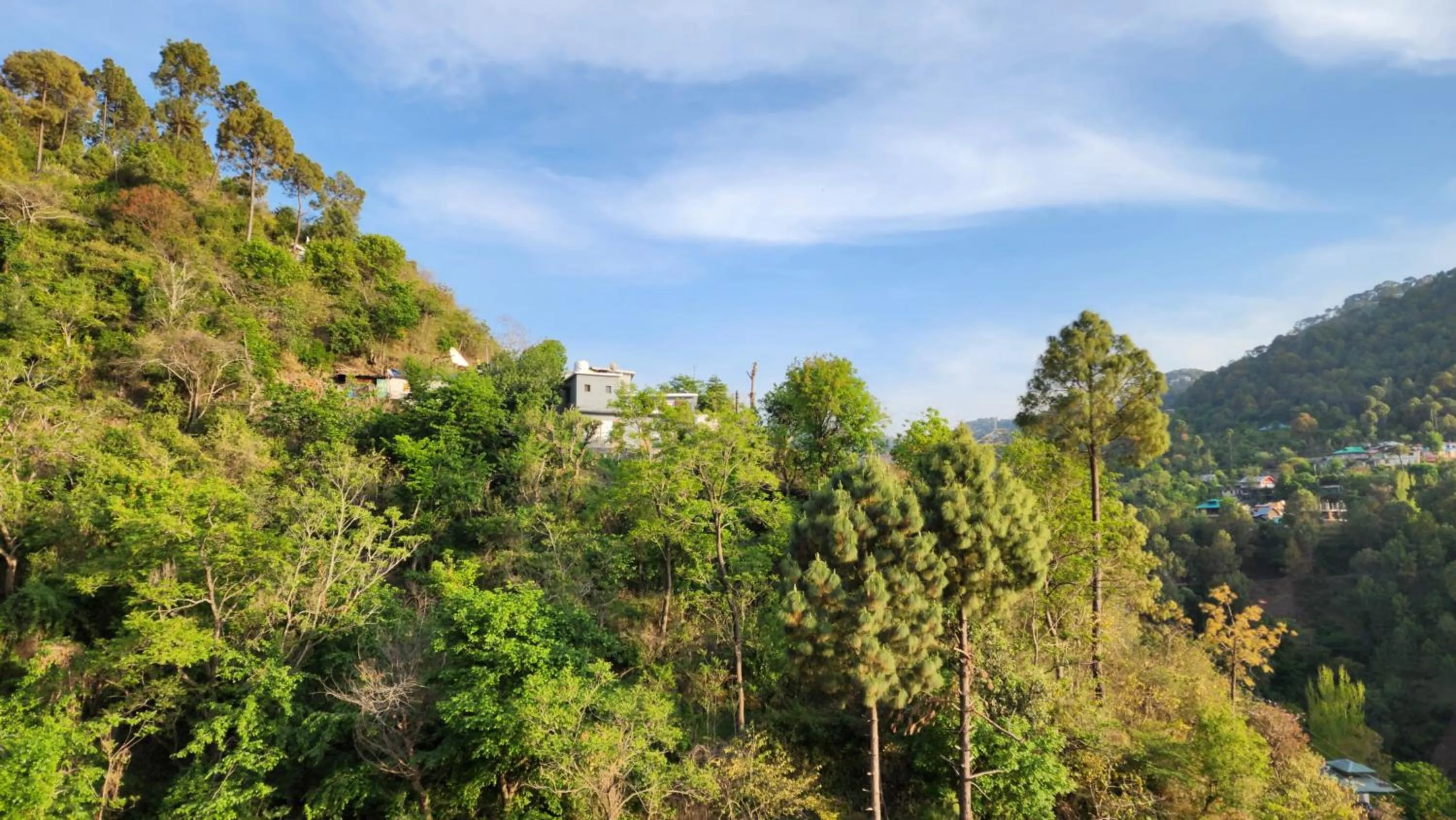 Hotel Royal Ark - Kasauli