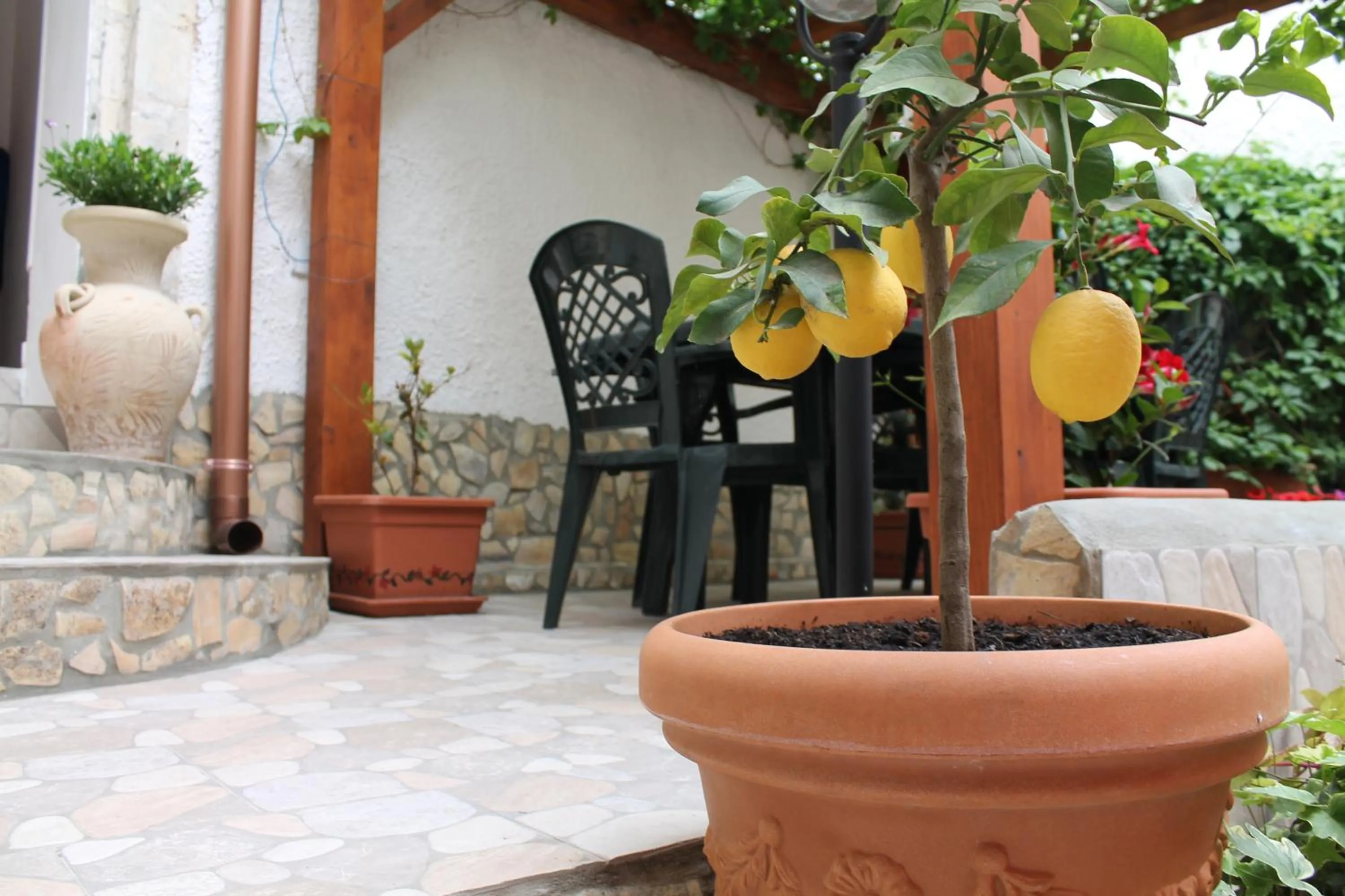 Garden view in Bed and Breakfast Alberini