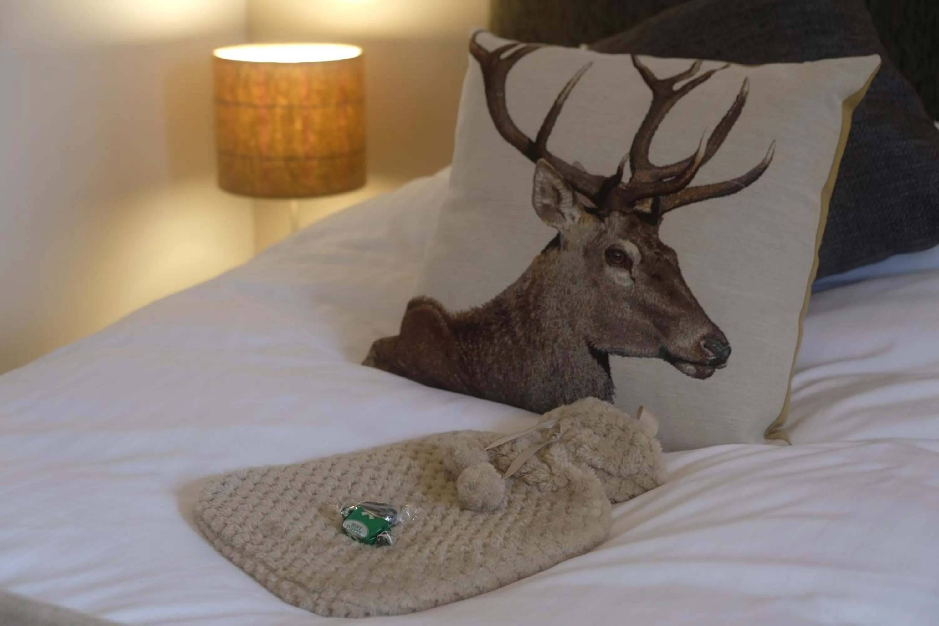 Decorative detail, Bed in Morlea Bed & Breakfast
