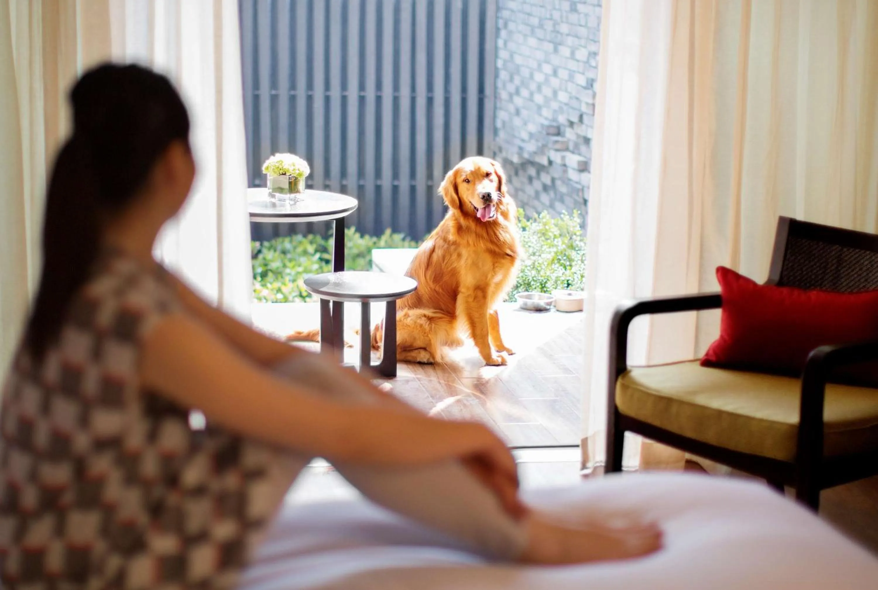 Photo of the whole room in Hyatt Regency Chongming