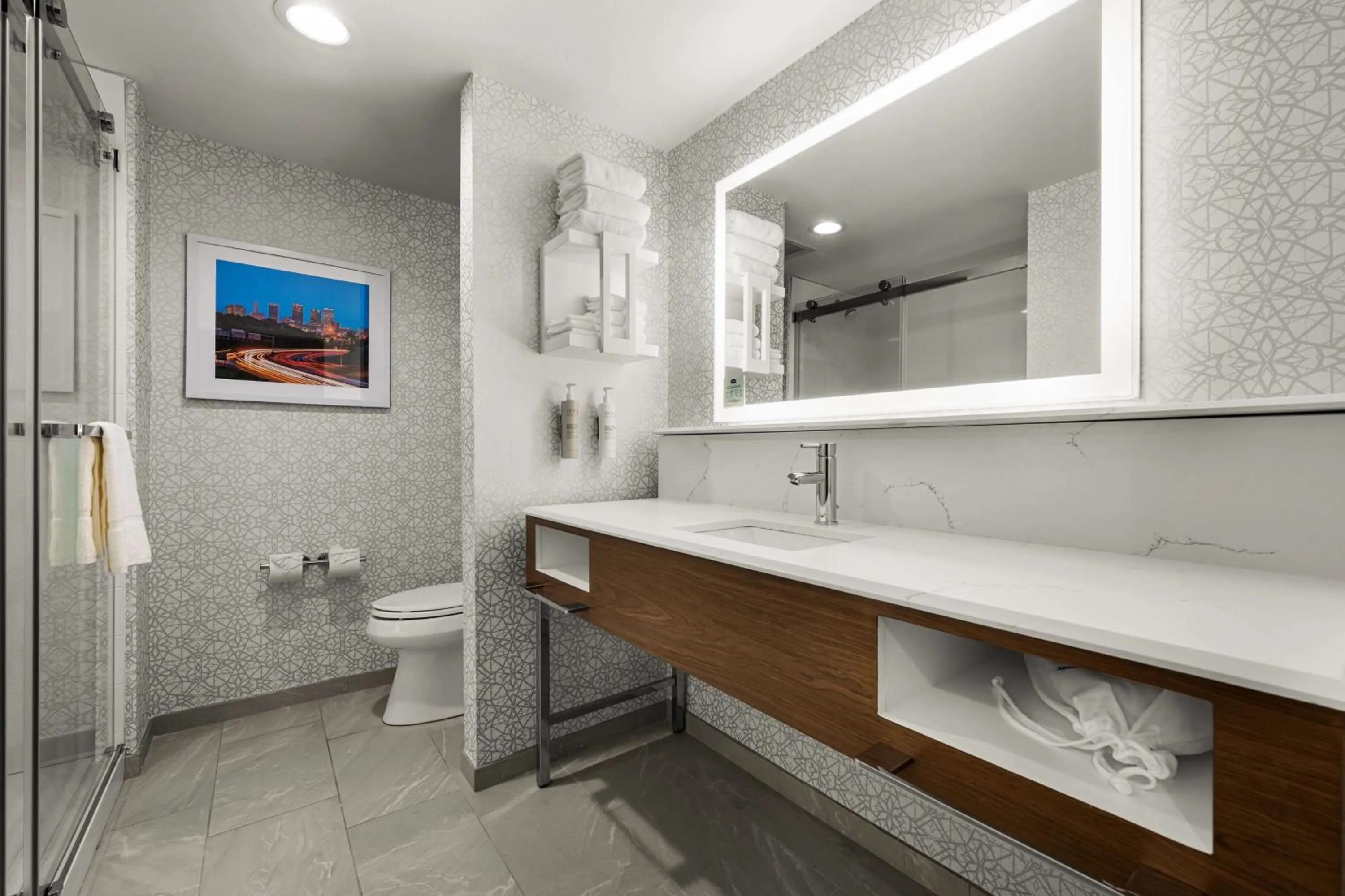 Bathroom in Hampton Inn & Suites Bessemer Birmingham