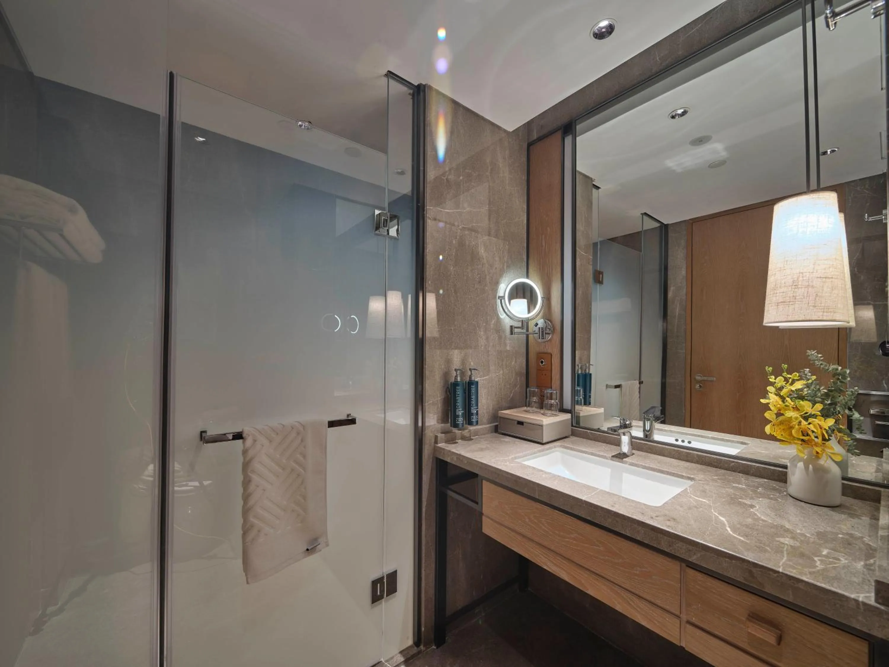 Toilet in DoubleTree by Hilton Changbaishan Hot Spring