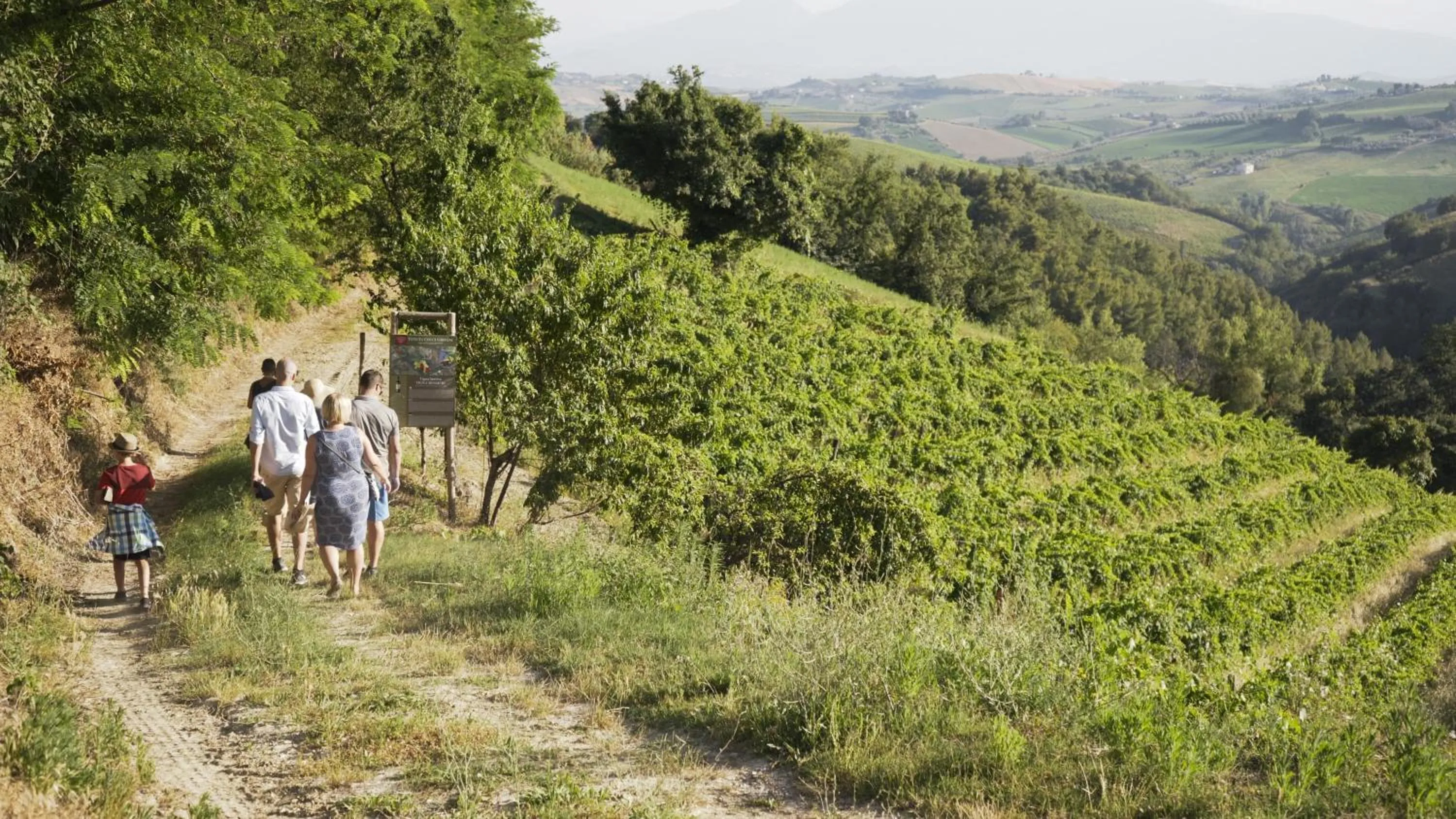 Natural landscape in Relais Cocci Grifoni - Panoramic Wine Resort