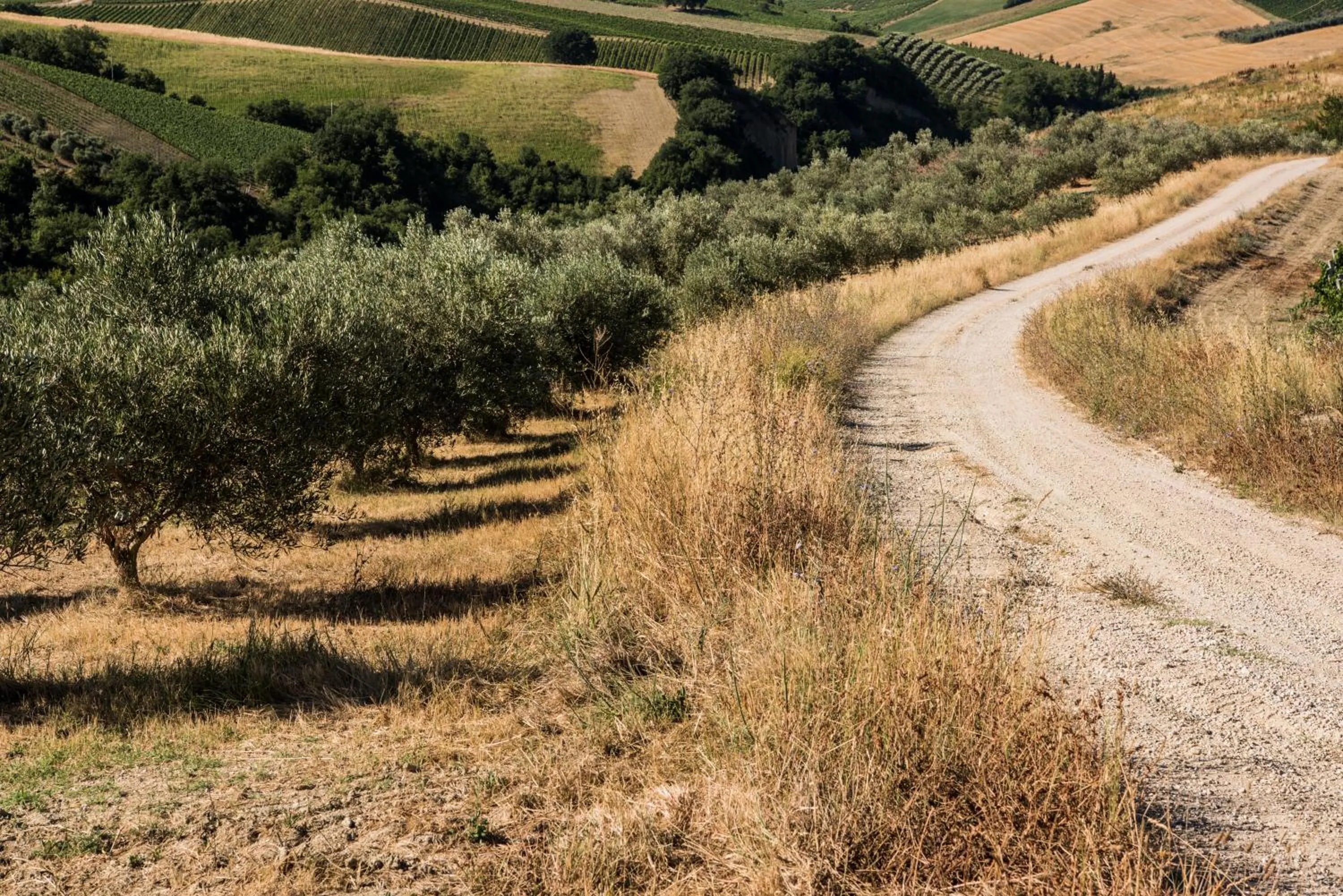 Natural landscape in Relais Cocci Grifoni - Panoramic Wine Resort