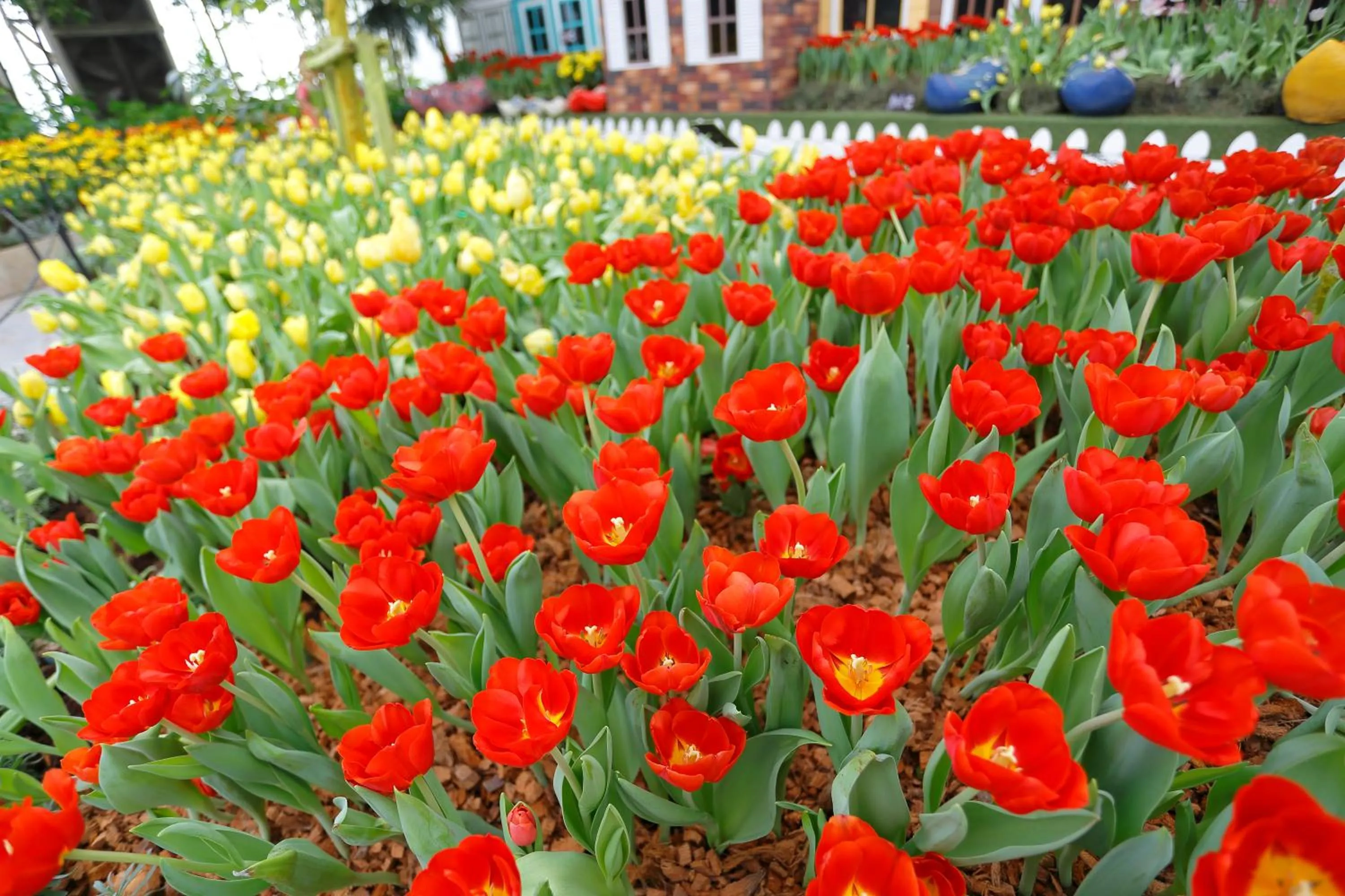 Property building in Play La Ploen Boutique Resort and Adventure Camp