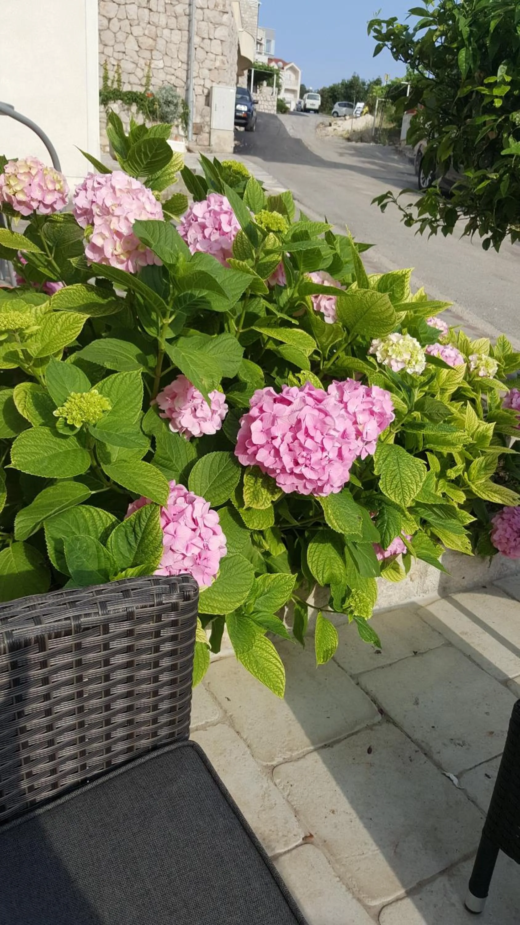 Property building in Apartments Ira