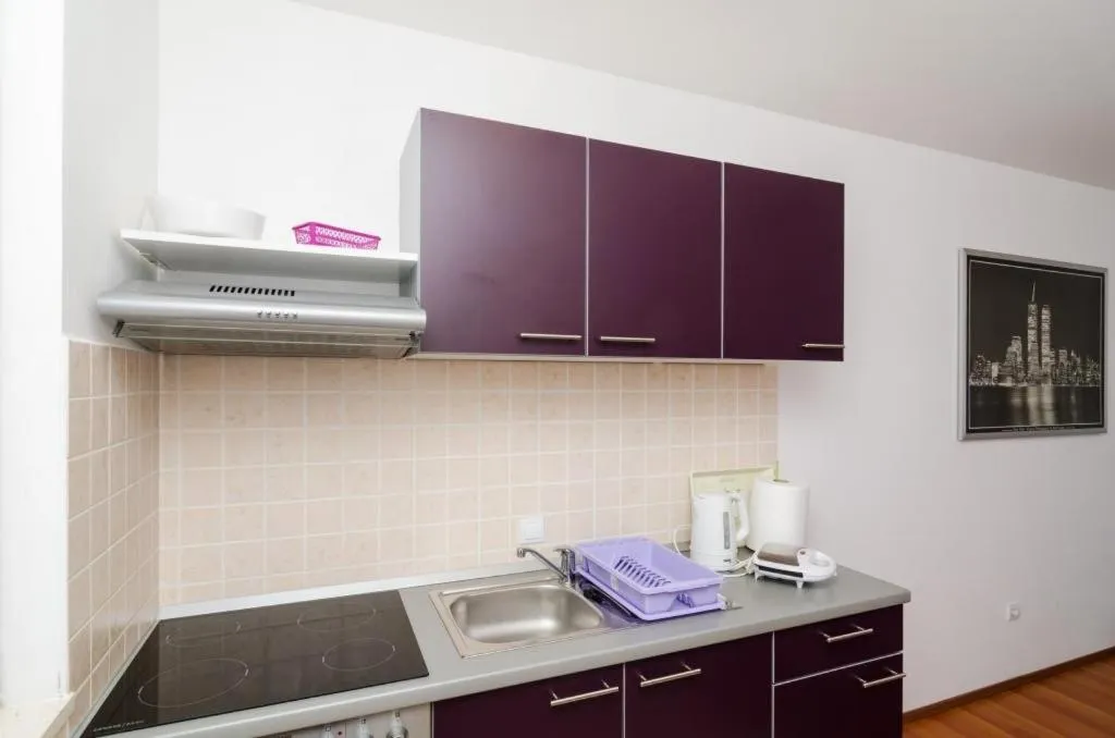 Kitchen or kitchenette in Apartments Ira