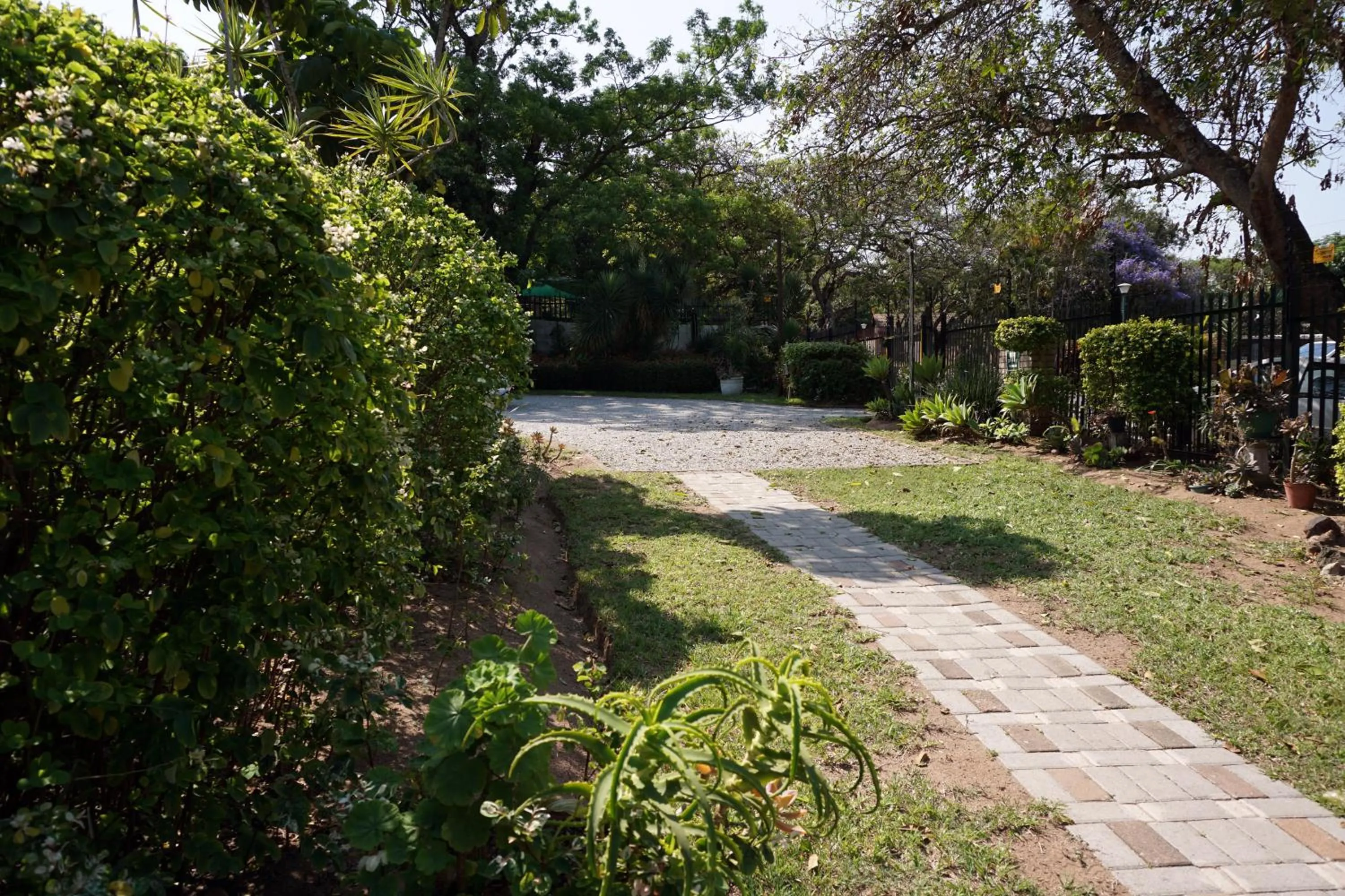 Garden in Sheba Rock Guesthouse