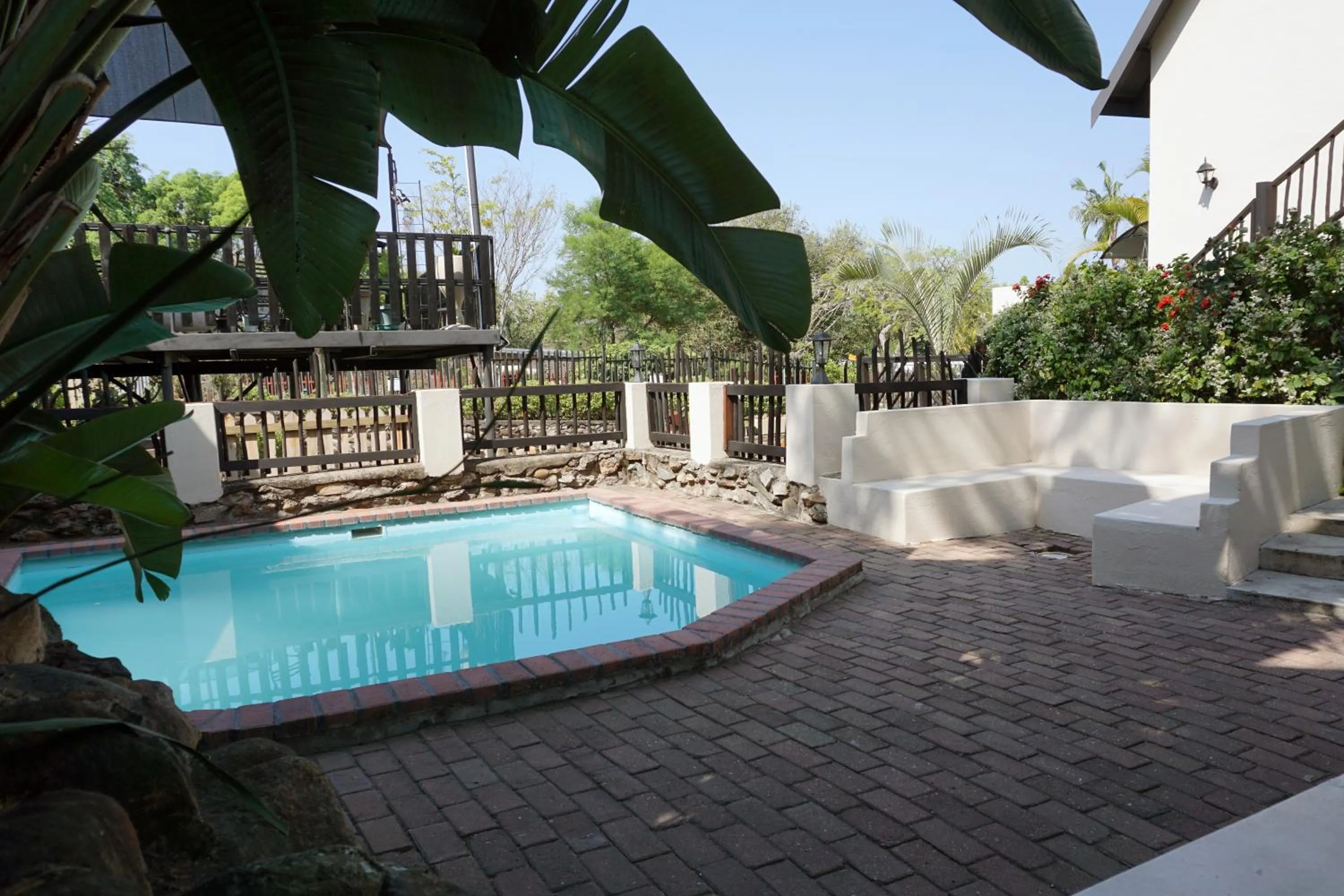 Swimming pool in Sheba Rock Guesthouse