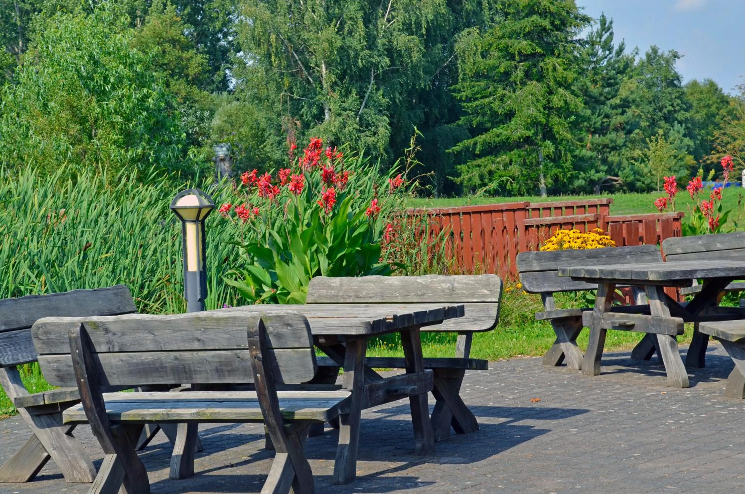 Patio in Hotel Zur Schmiede