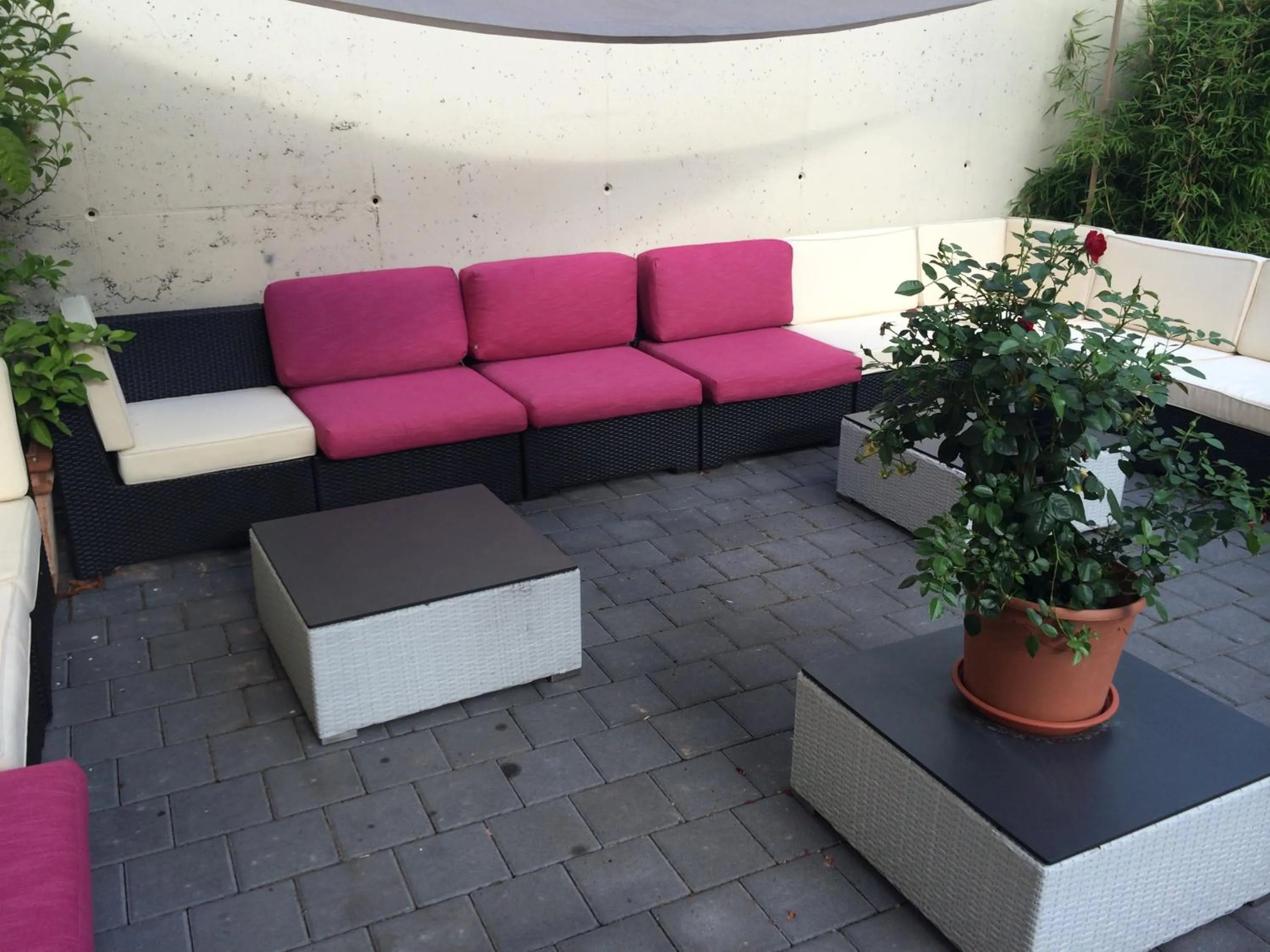 Facade/entrance in Hotel Zum Rosengarten