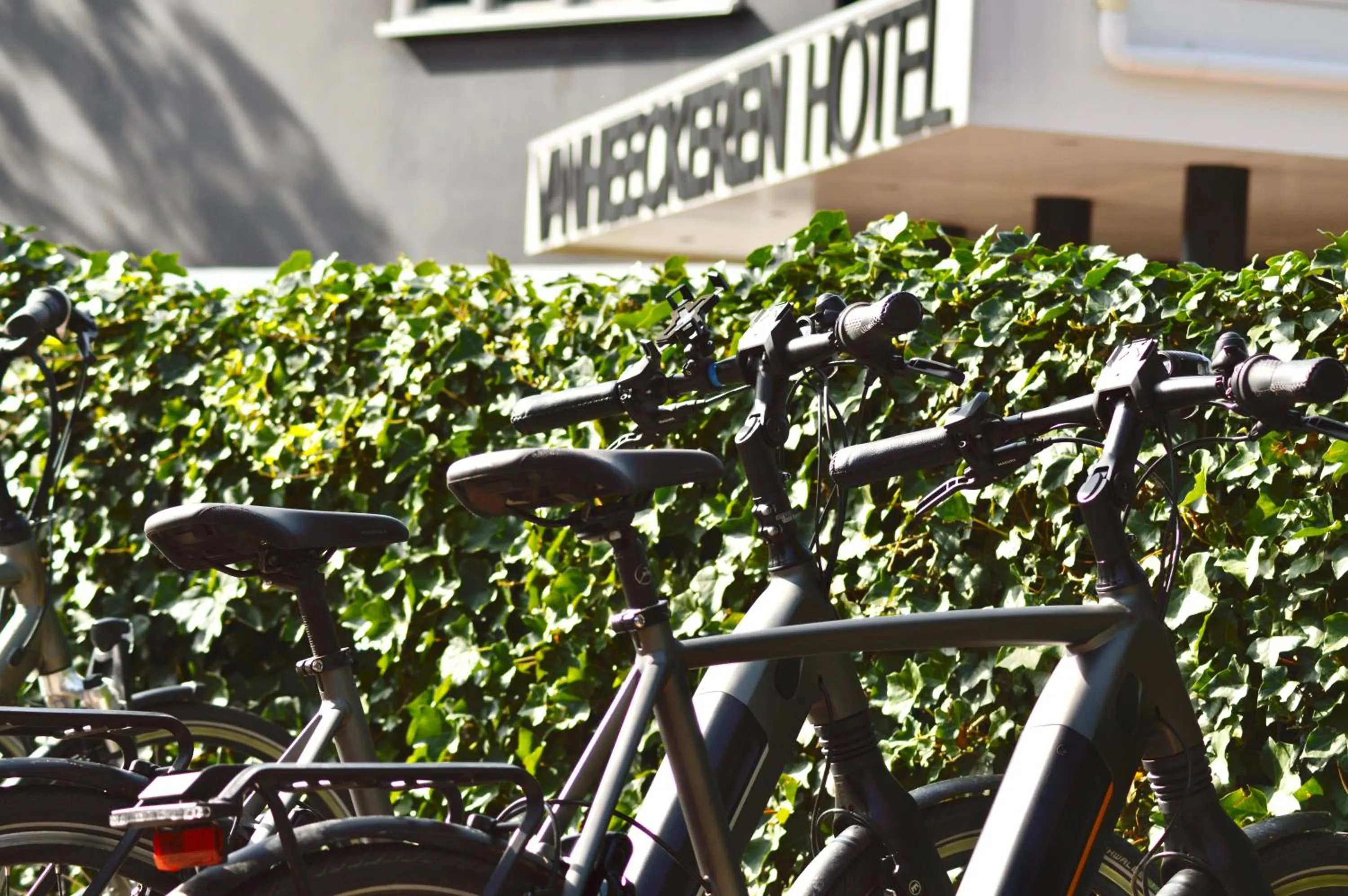 Activities in Van Heeckeren Hotel