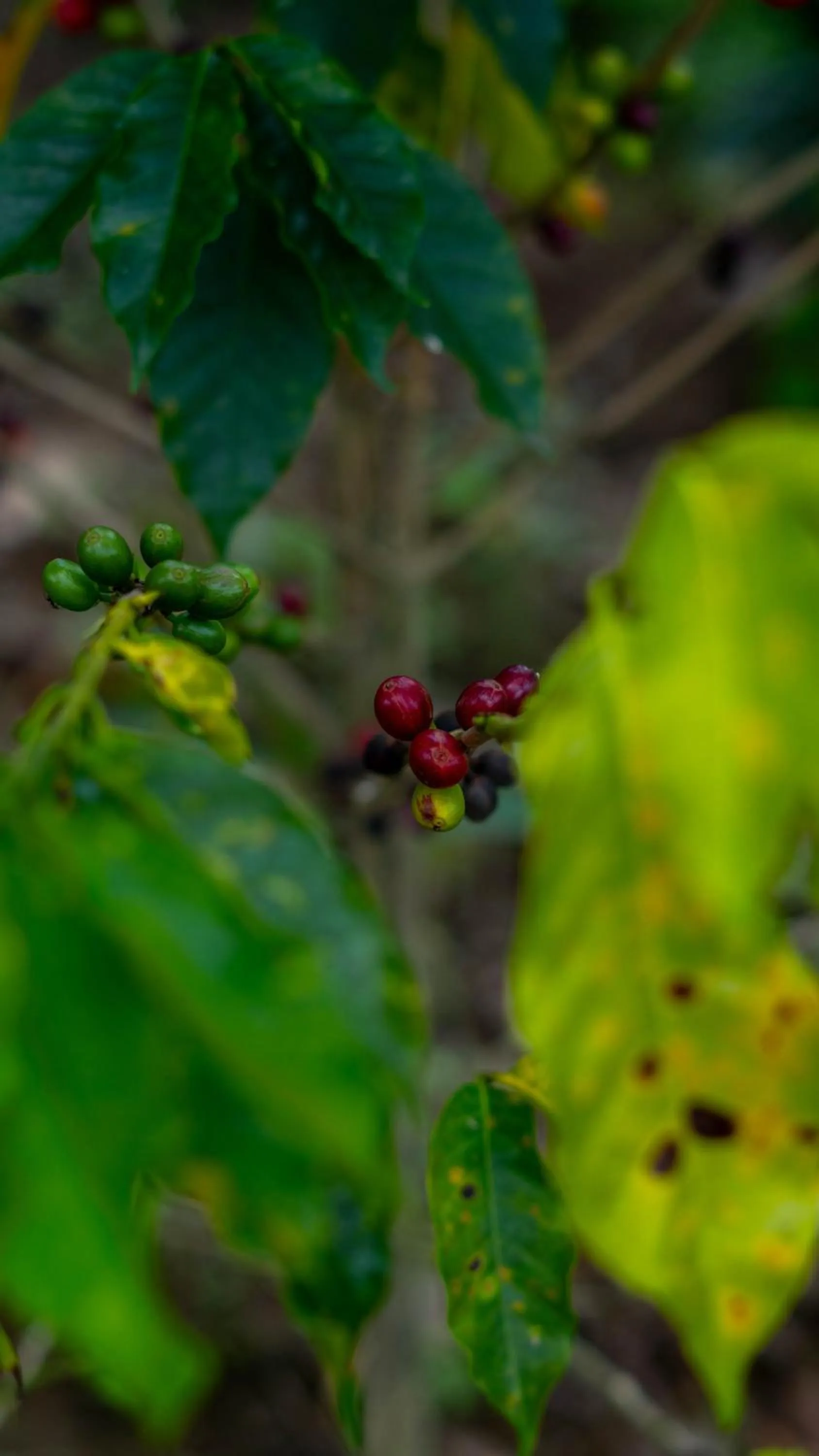 Spring in Cannatel Exclusive Hotel