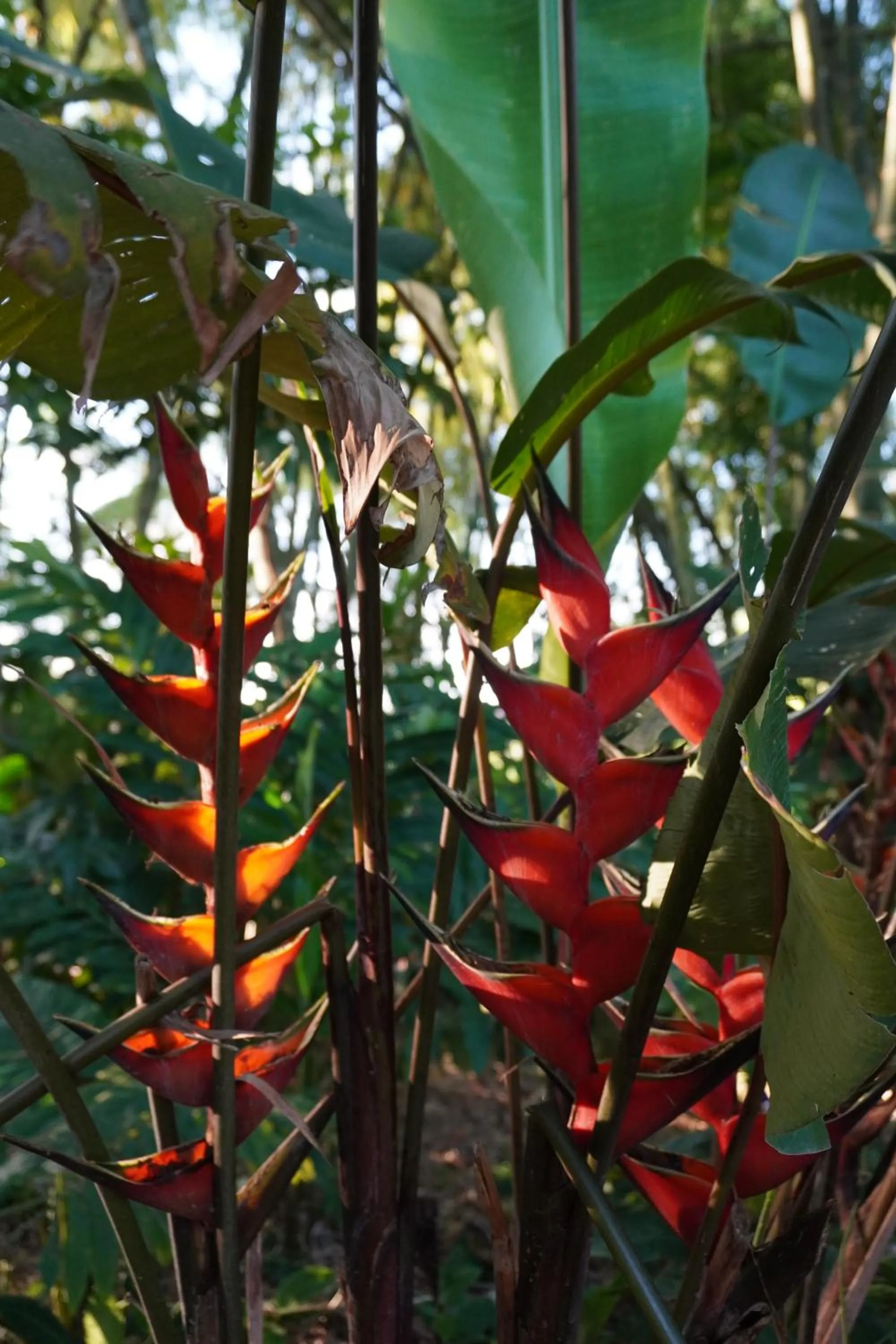 Natural landscape in Cannatel Exclusive Hotel