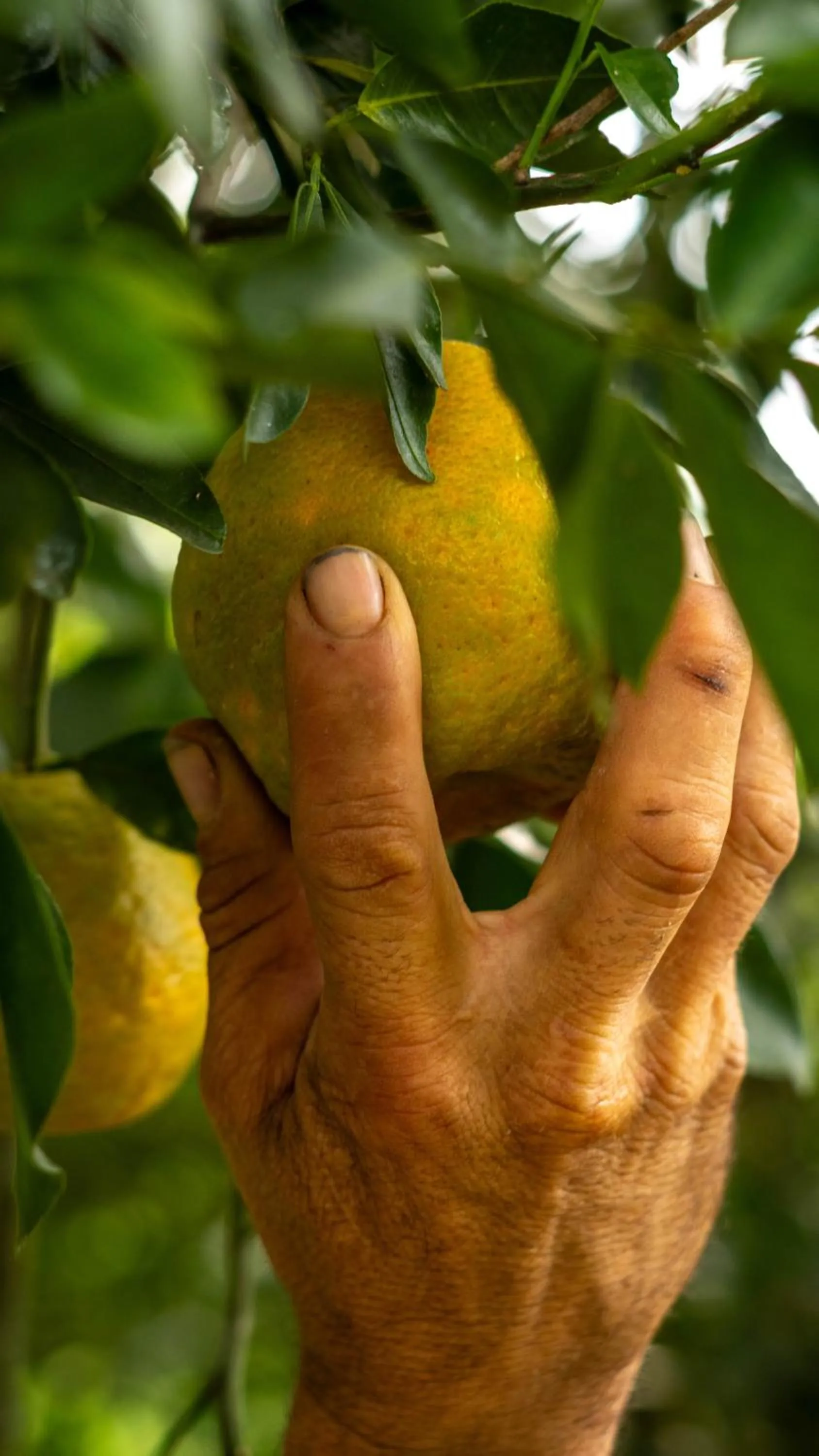 Day in Cannatel Exclusive Hotel