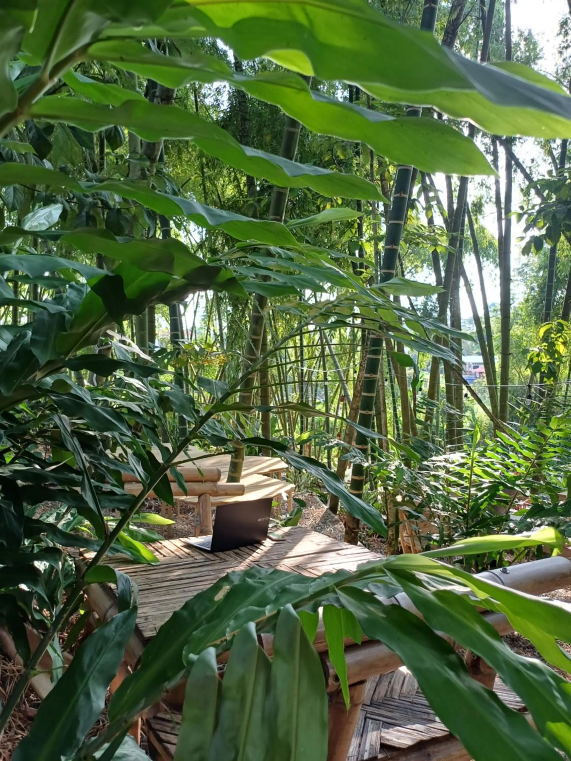 Property building in Cannatel Exclusive Hotel