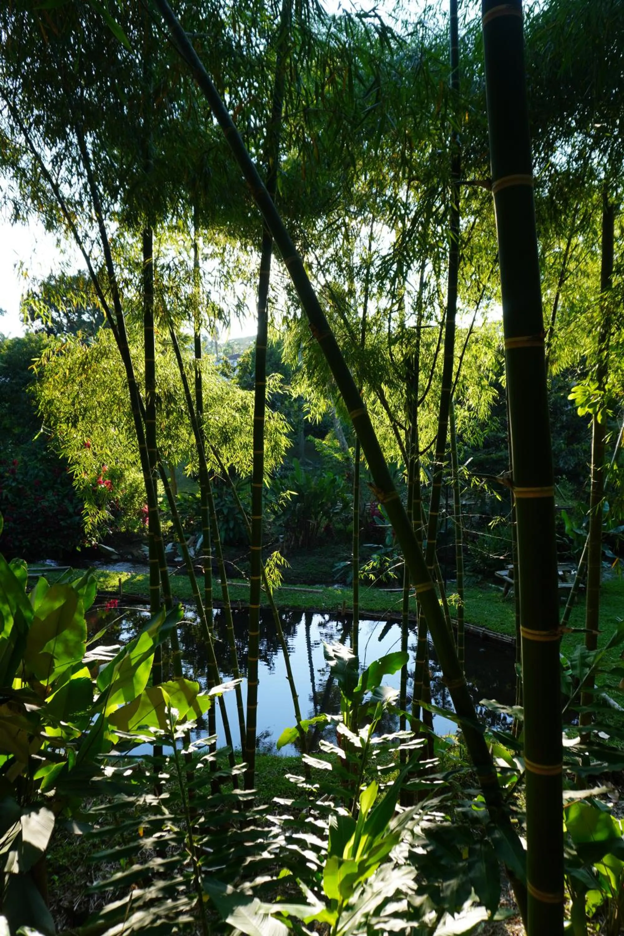 Lake view in Cannatel Exclusive Hotel