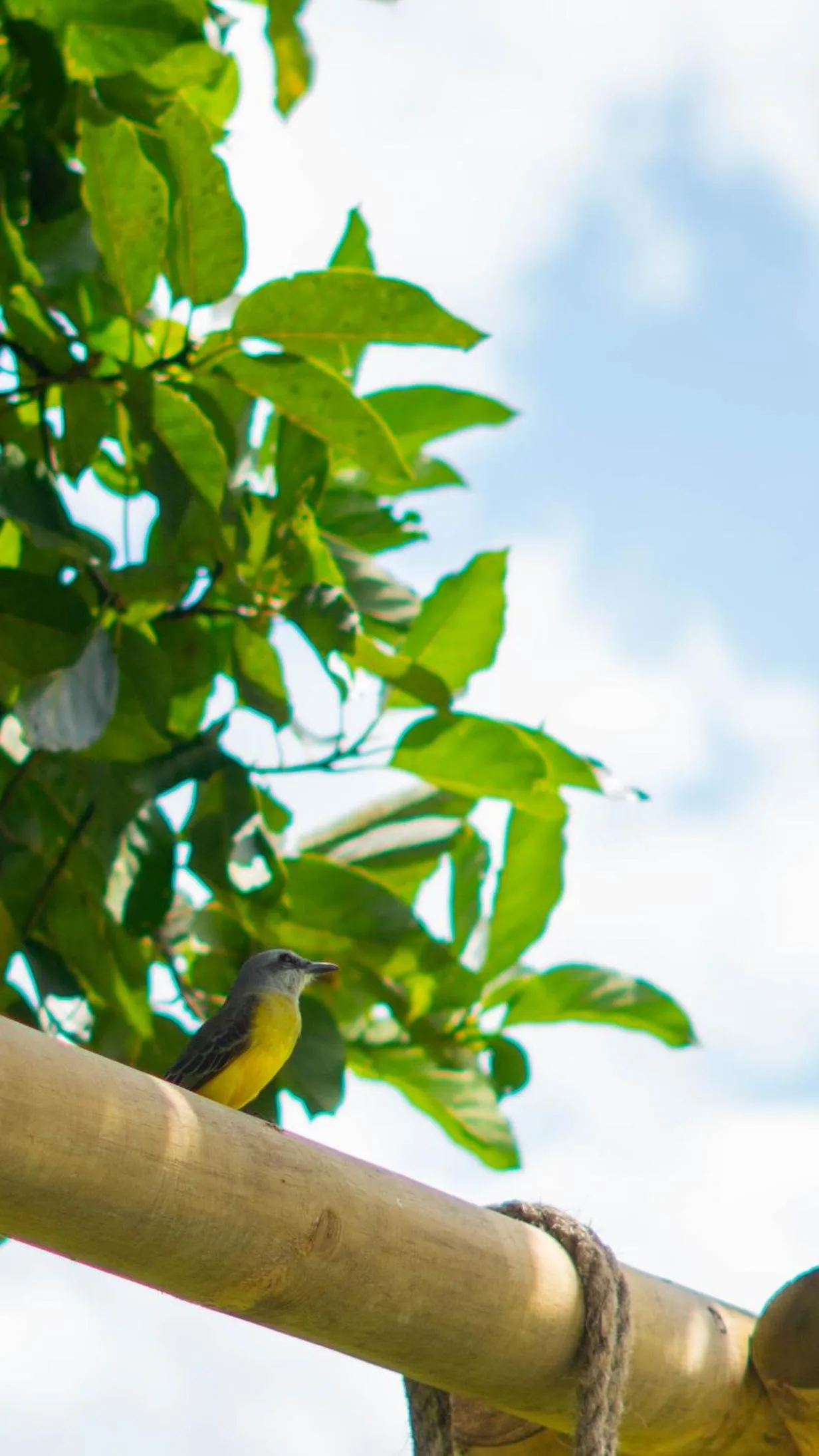 Spring in Cannatel Exclusive Hotel