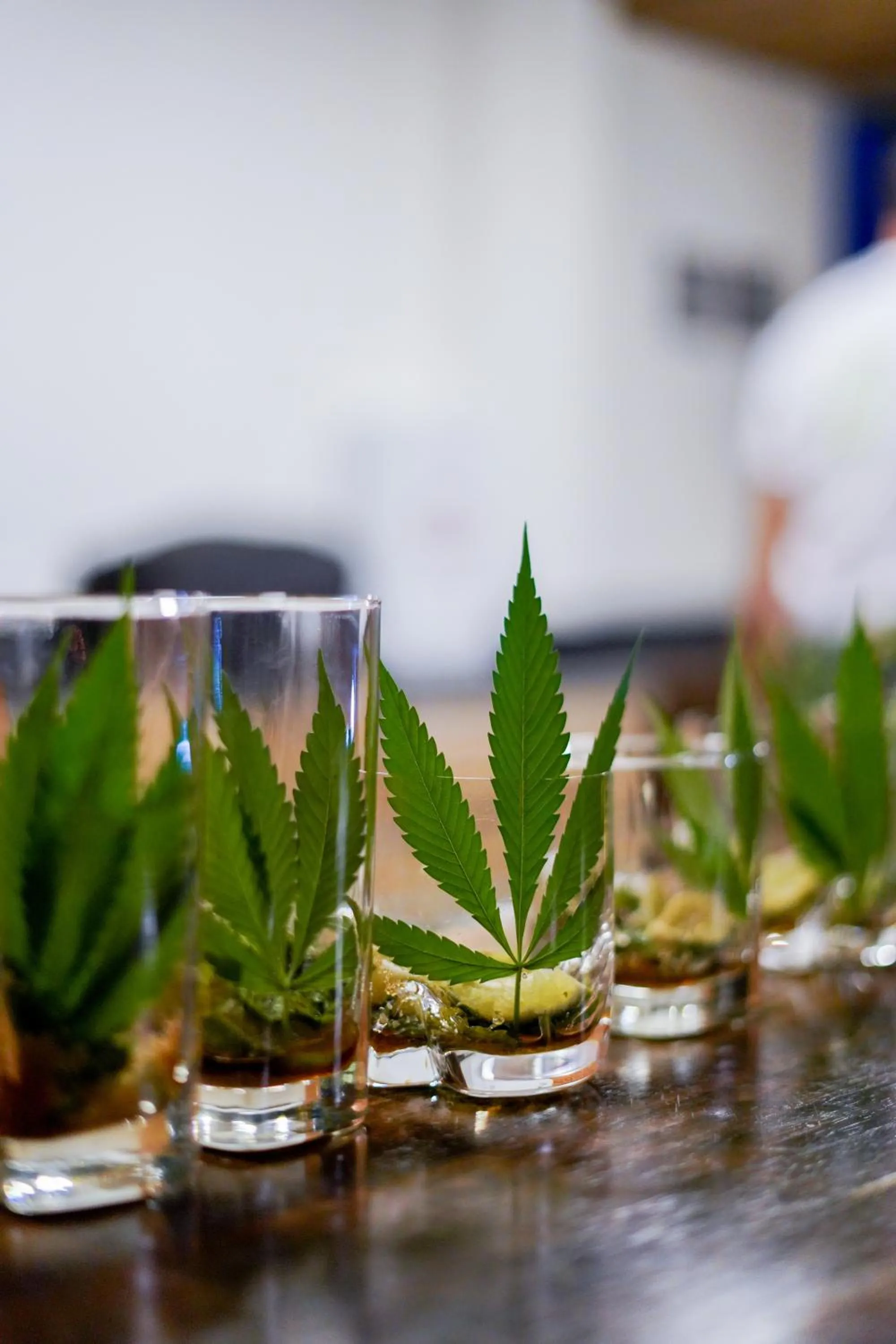 Lounge or bar in Cannatel Exclusive Hotel