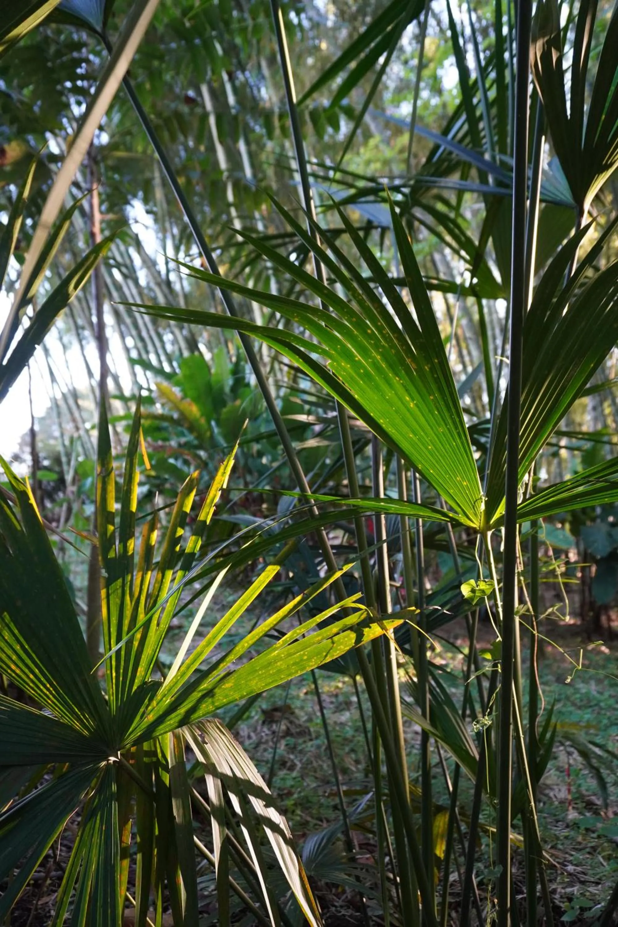 Natural landscape in Cannatel Exclusive Hotel