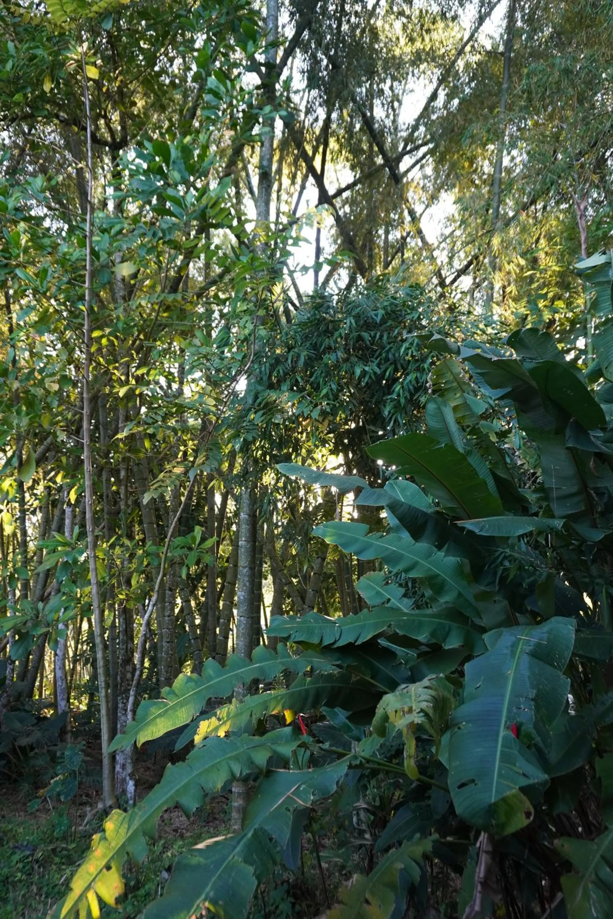 Day in Cannatel Exclusive Hotel