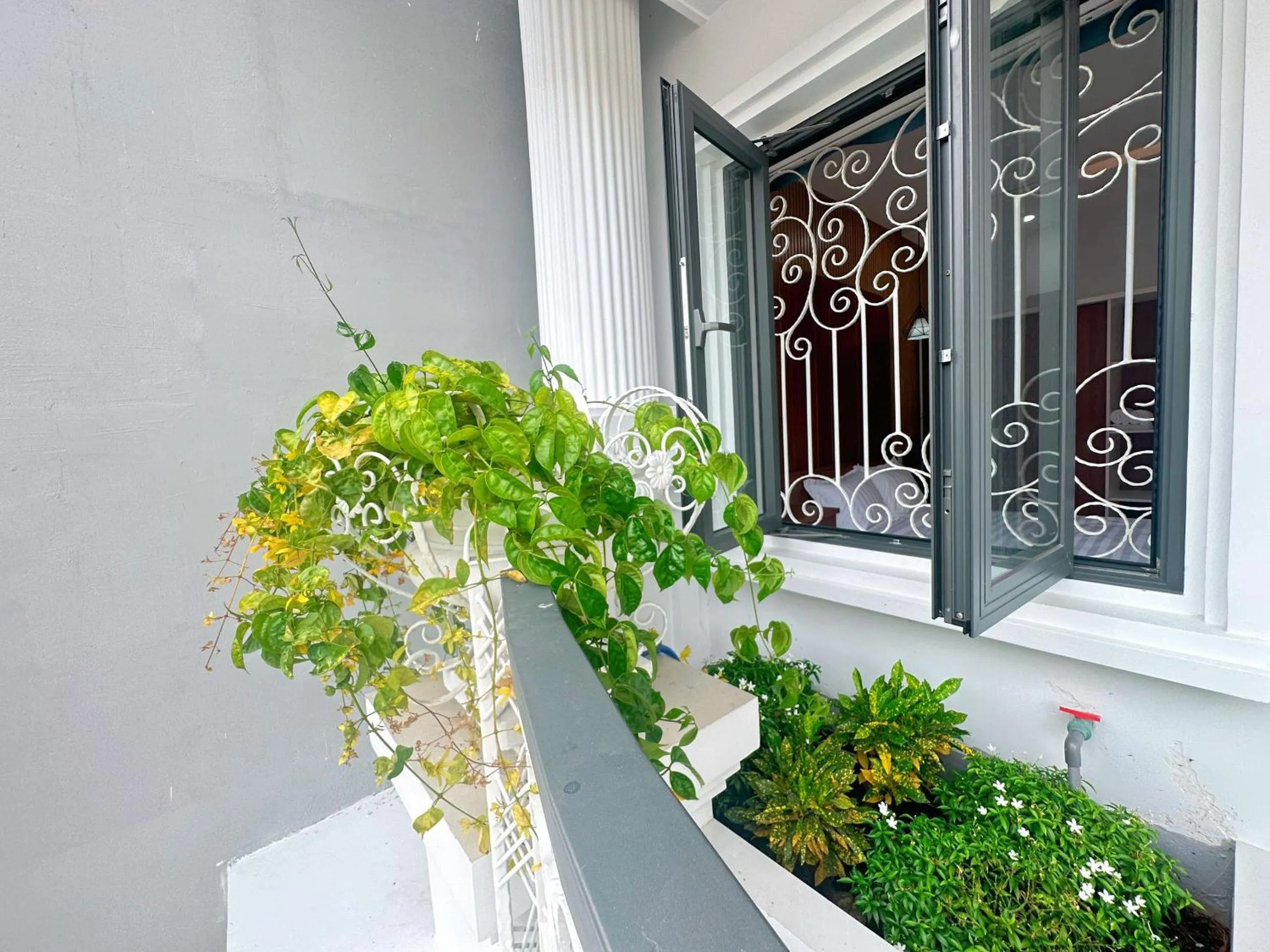 Garden in Milanesa Hotel and Apartment