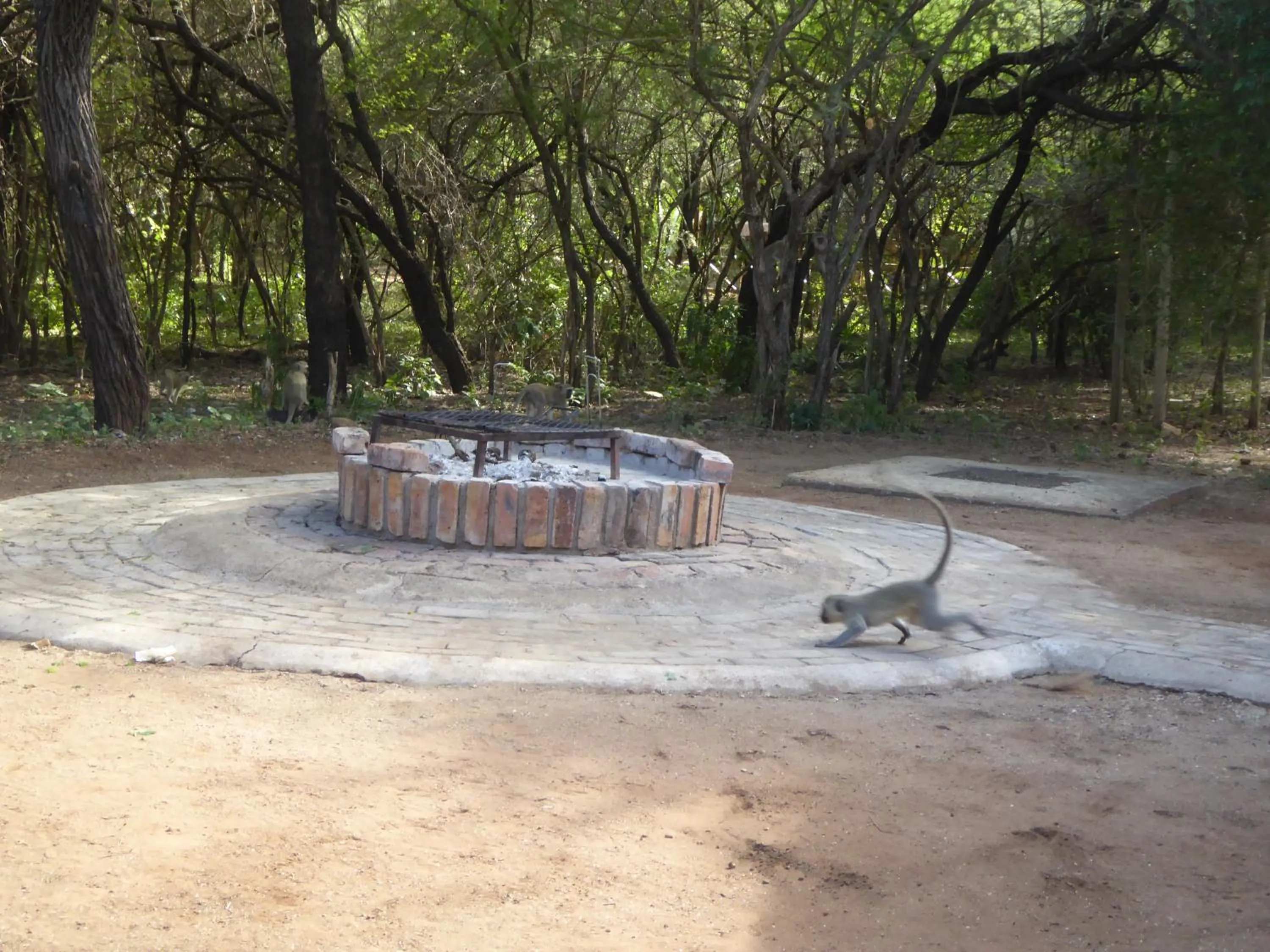 BBQ facilities in Kruger Cottage