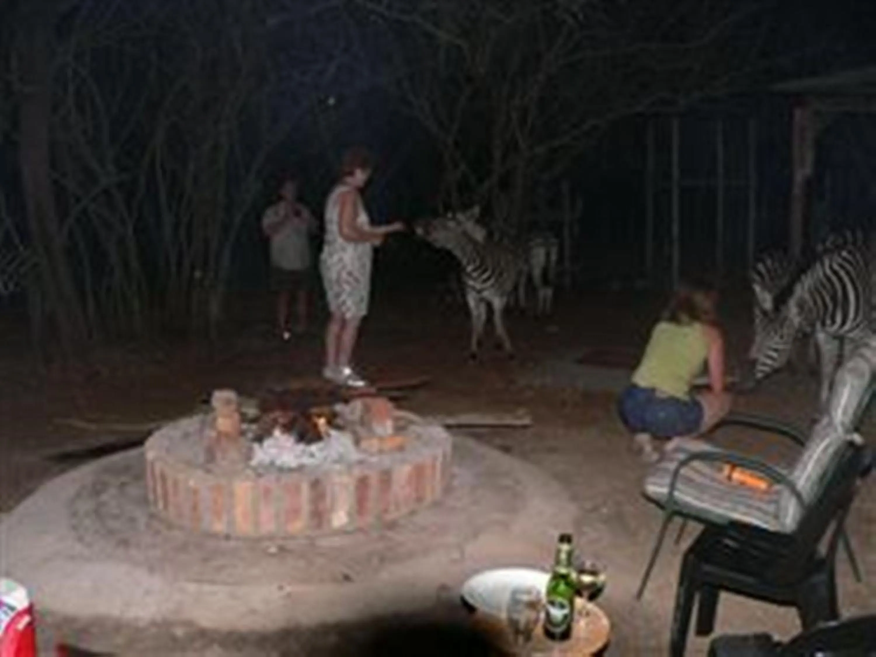 Night in Kruger Cottage