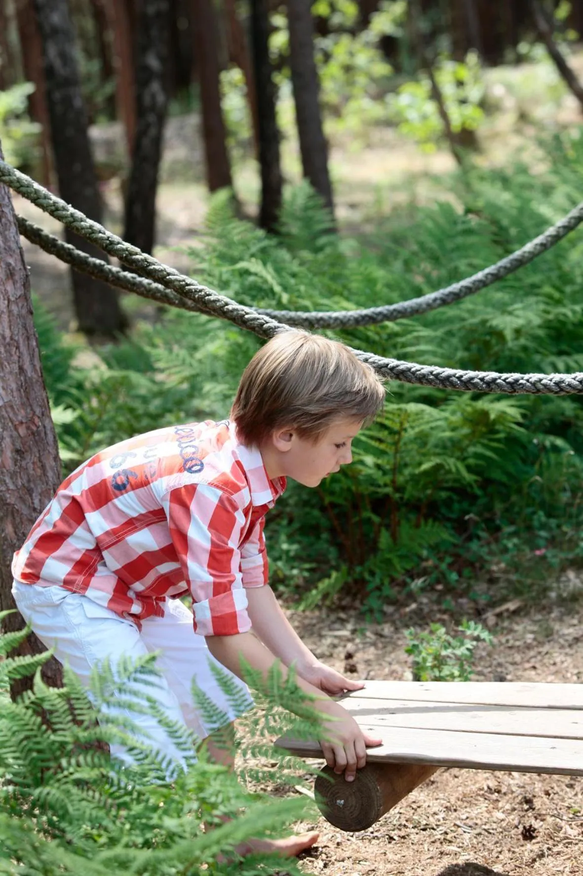 Children play ground in Landgoed De Uitkijk Hellendoorn
