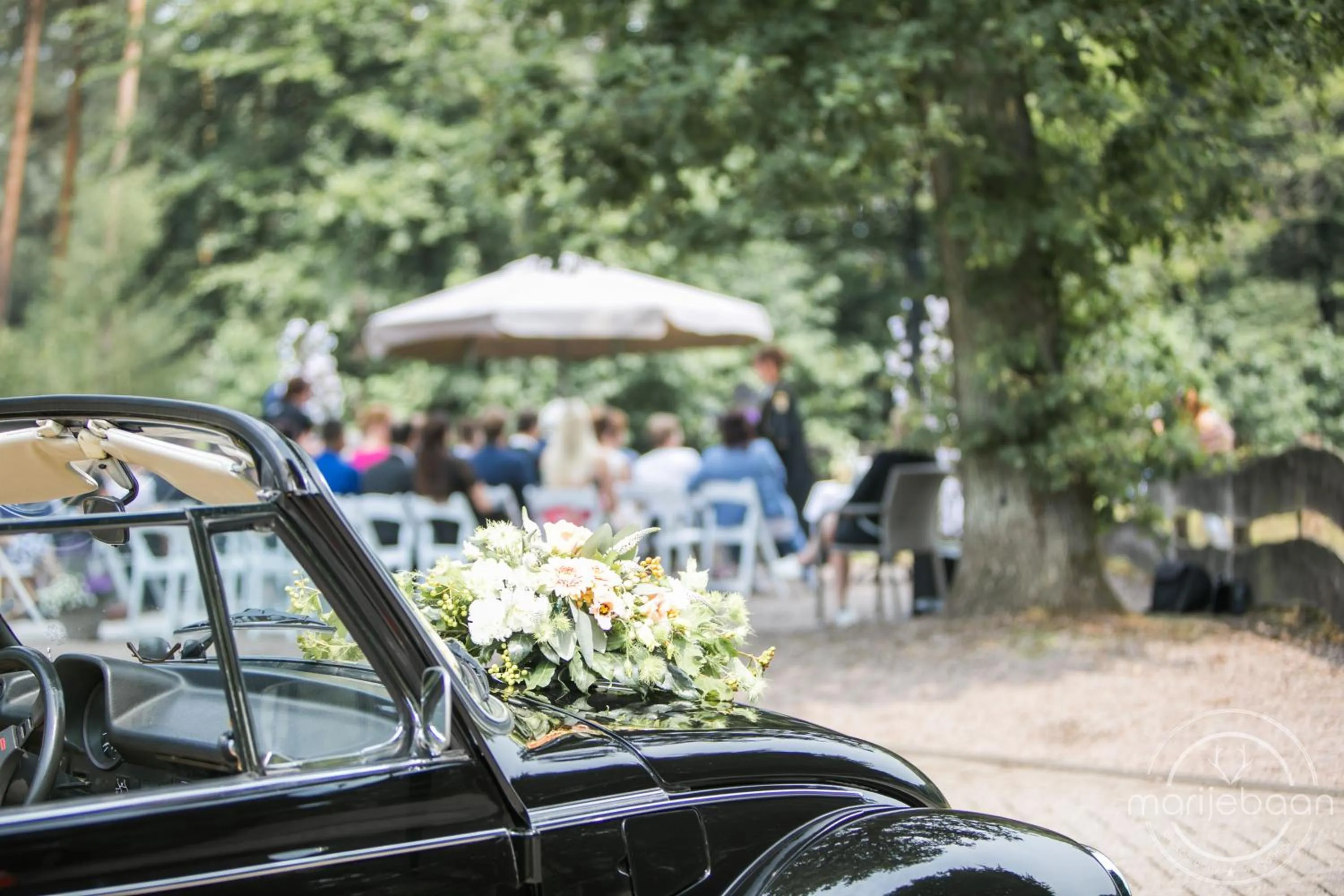 Spring in Landgoed De Uitkijk Hellendoorn
