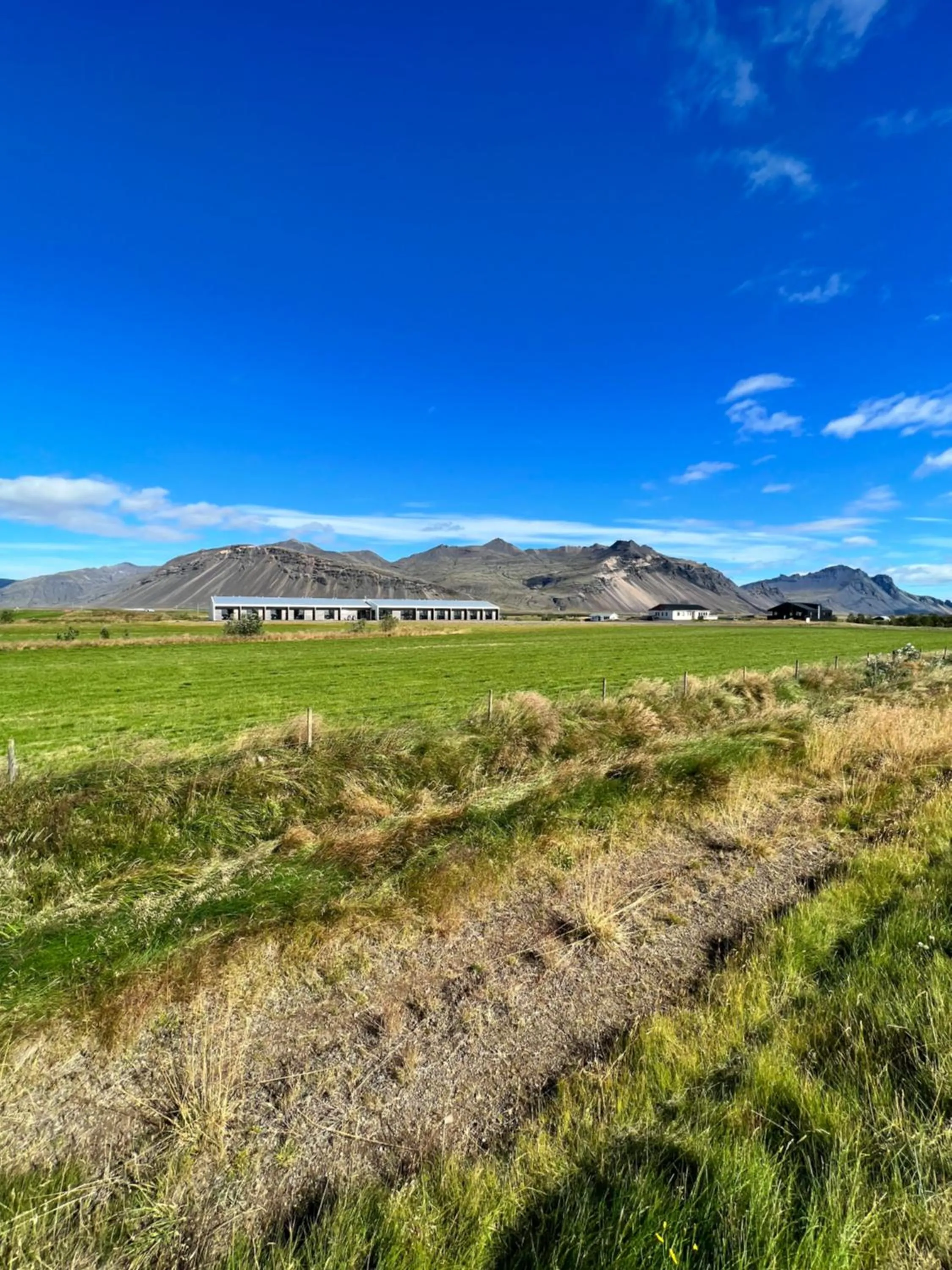 Seljavellir Guesthouse