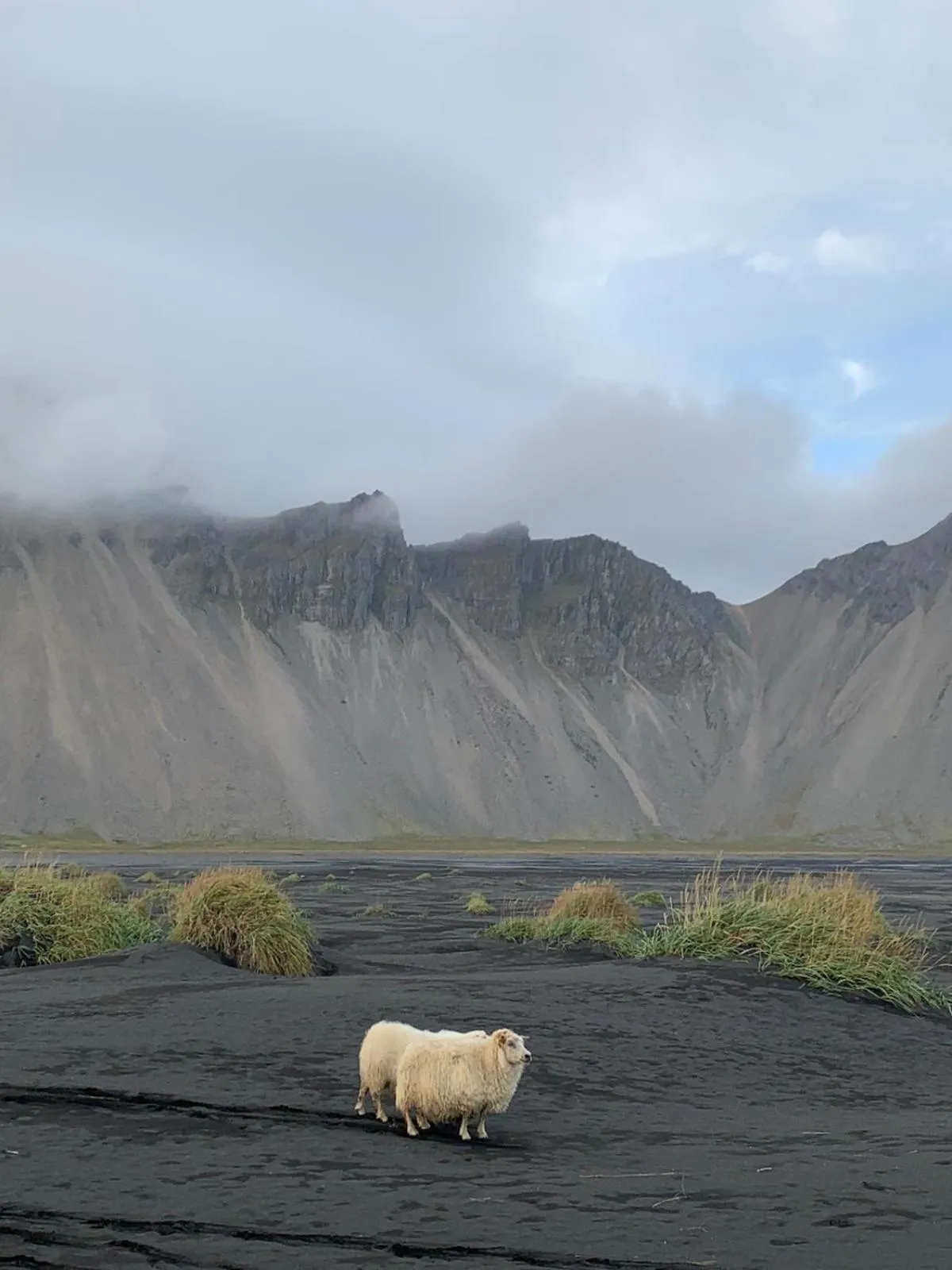 Seljavellir Guesthouse