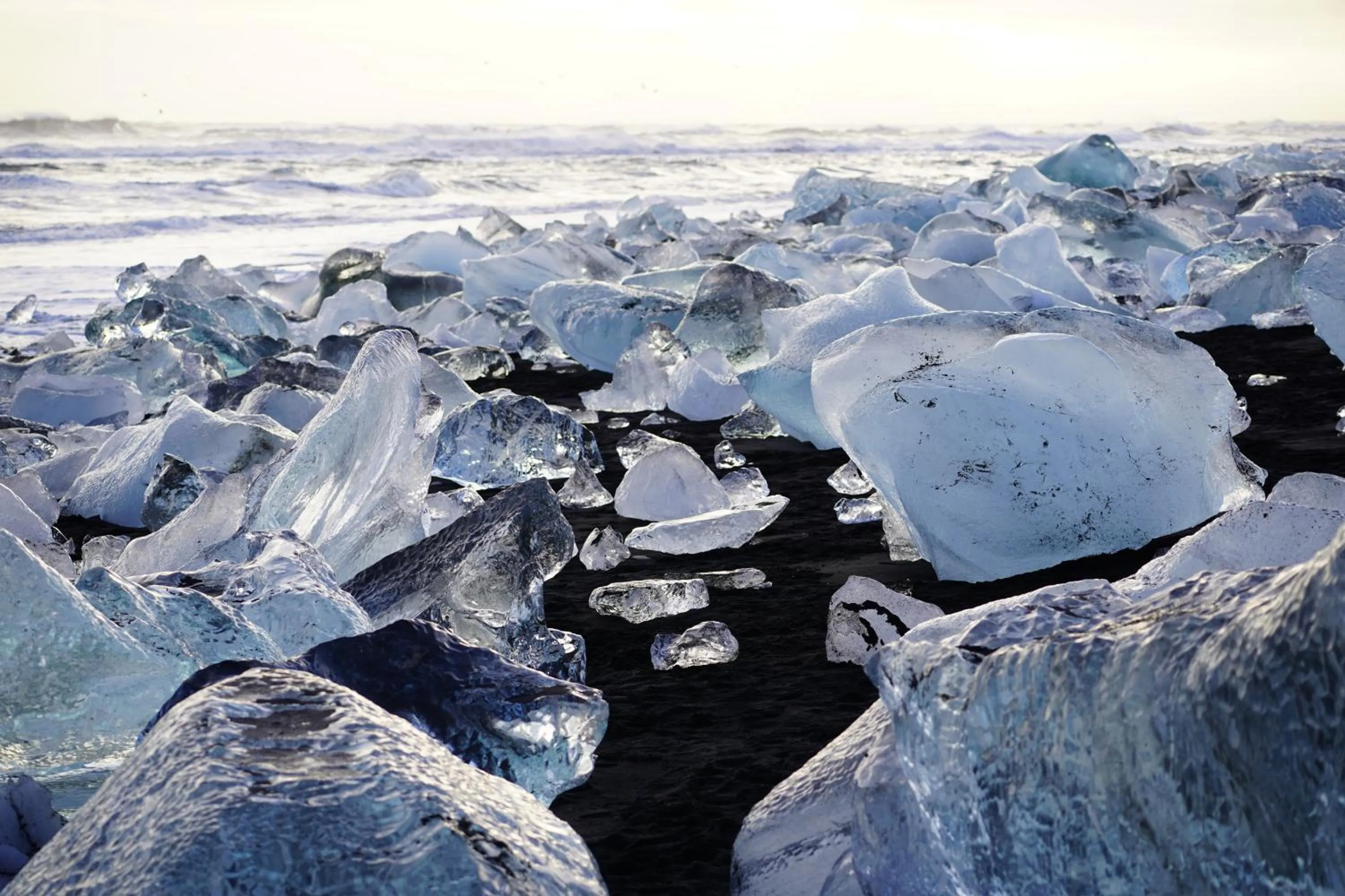 Seljavellir Guesthouse