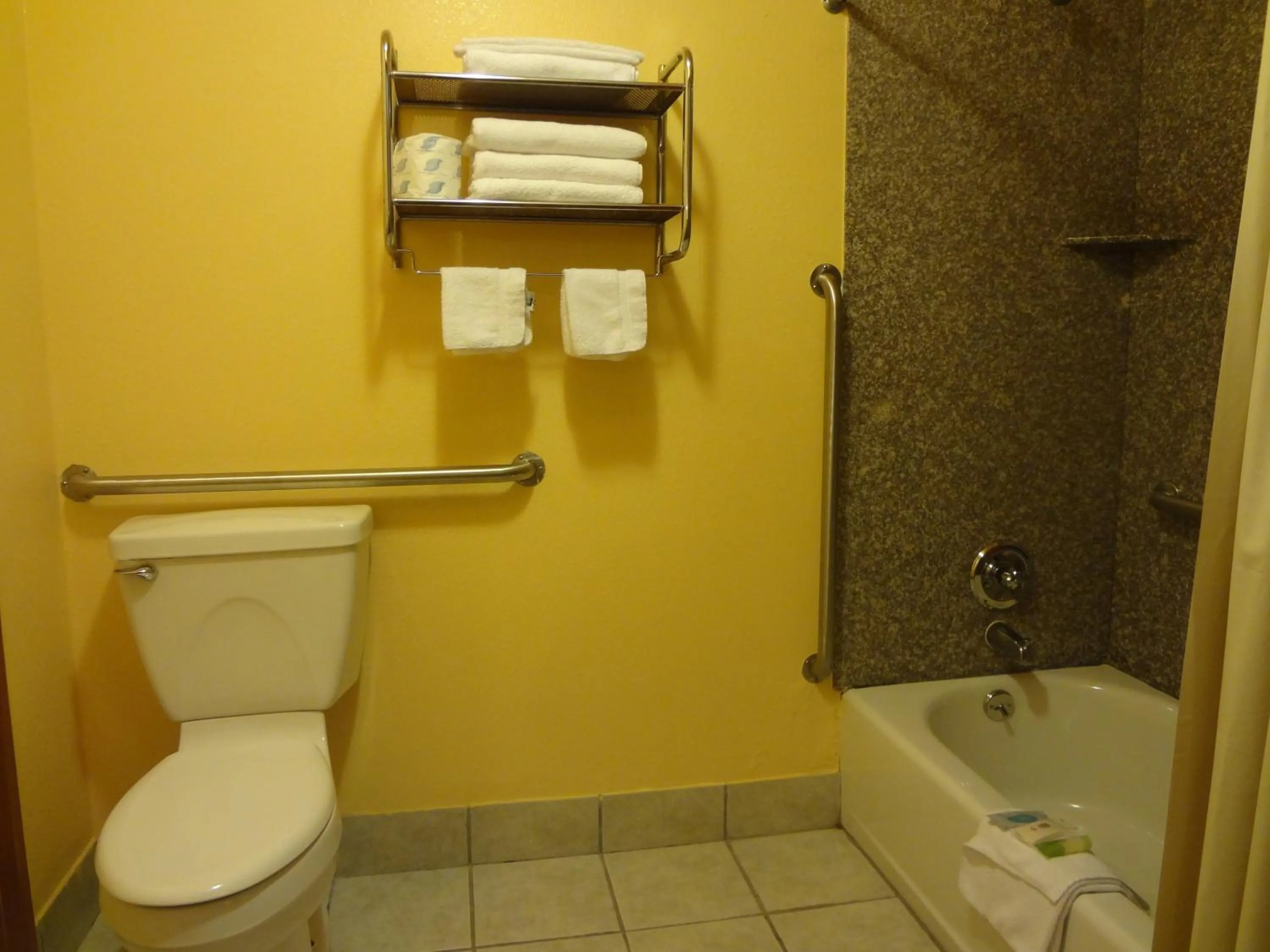 Shower in Antlers Inn Goliad