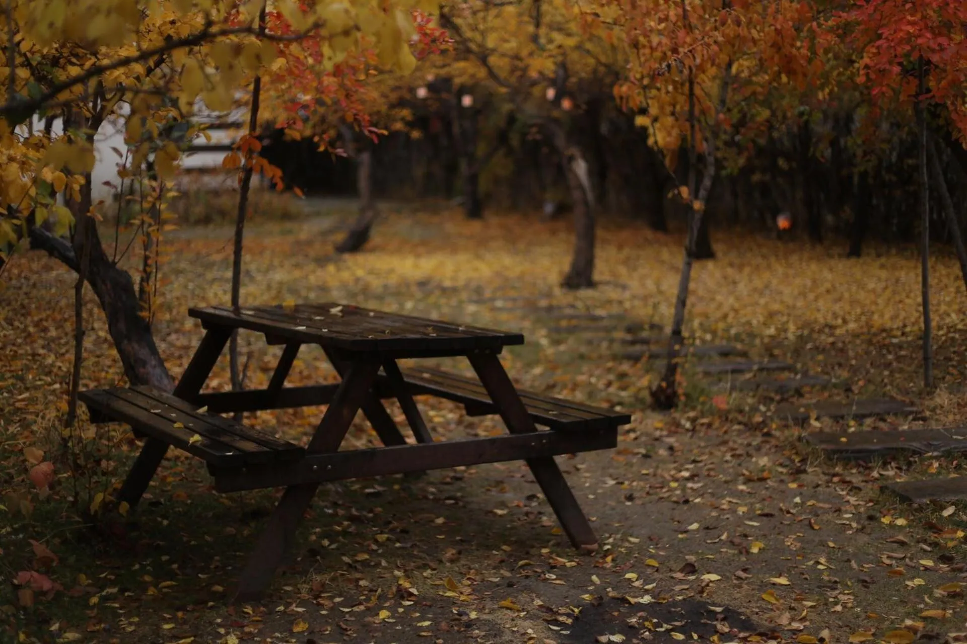 Miro Mara Boutique Hotel & Lounge Bar