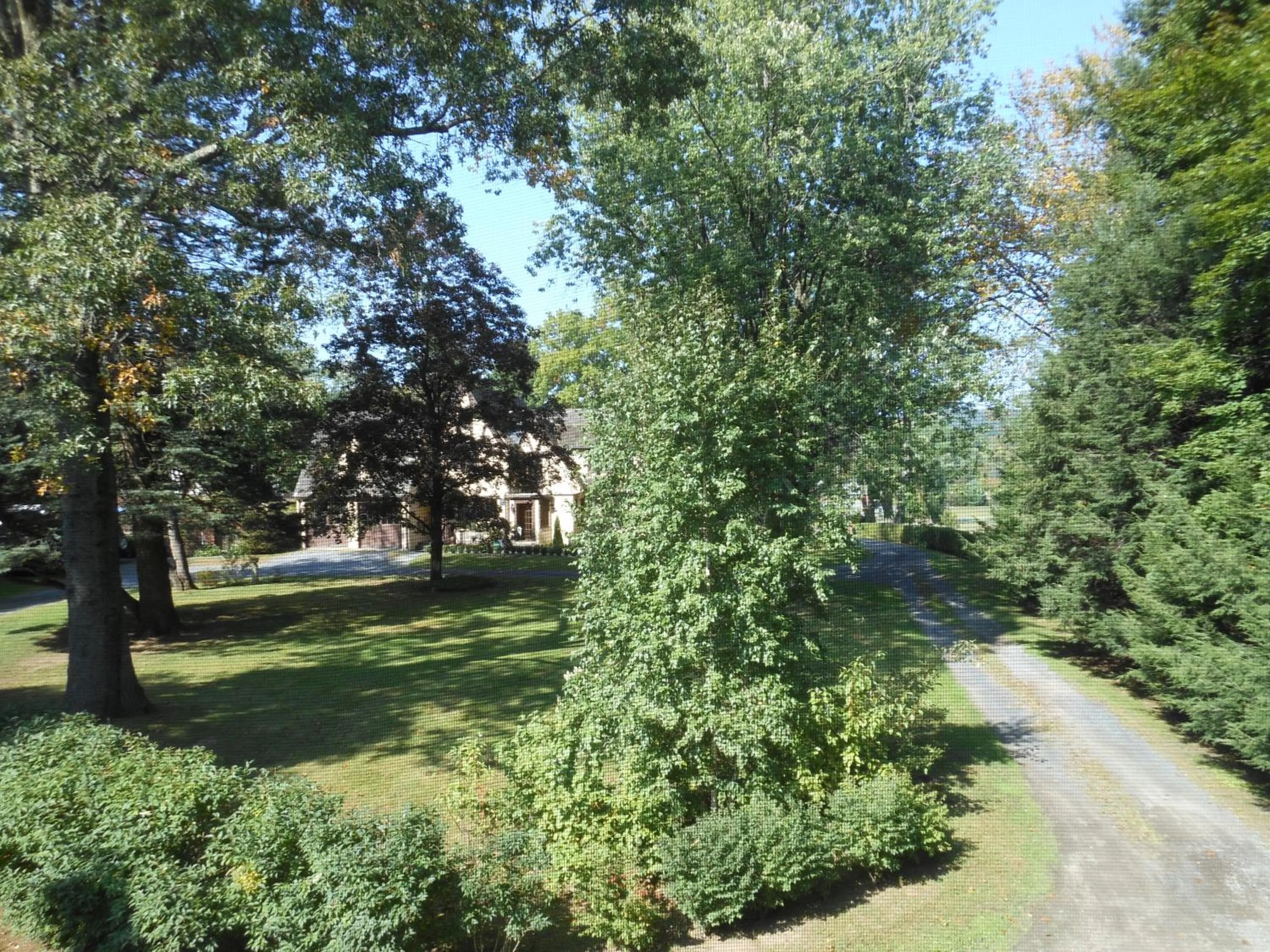 Garden in The Carriage House Loft