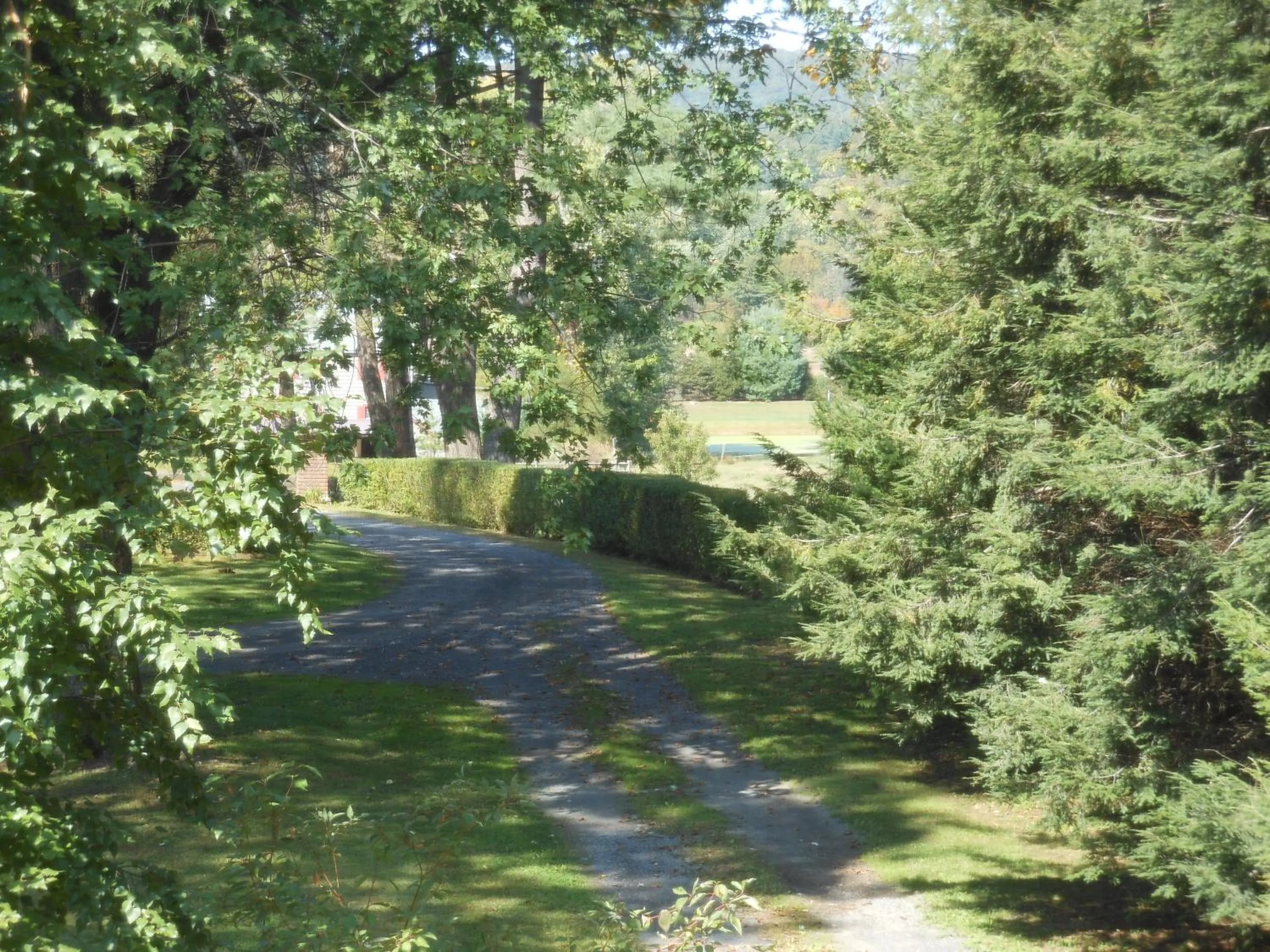 Garden in The Carriage House Loft